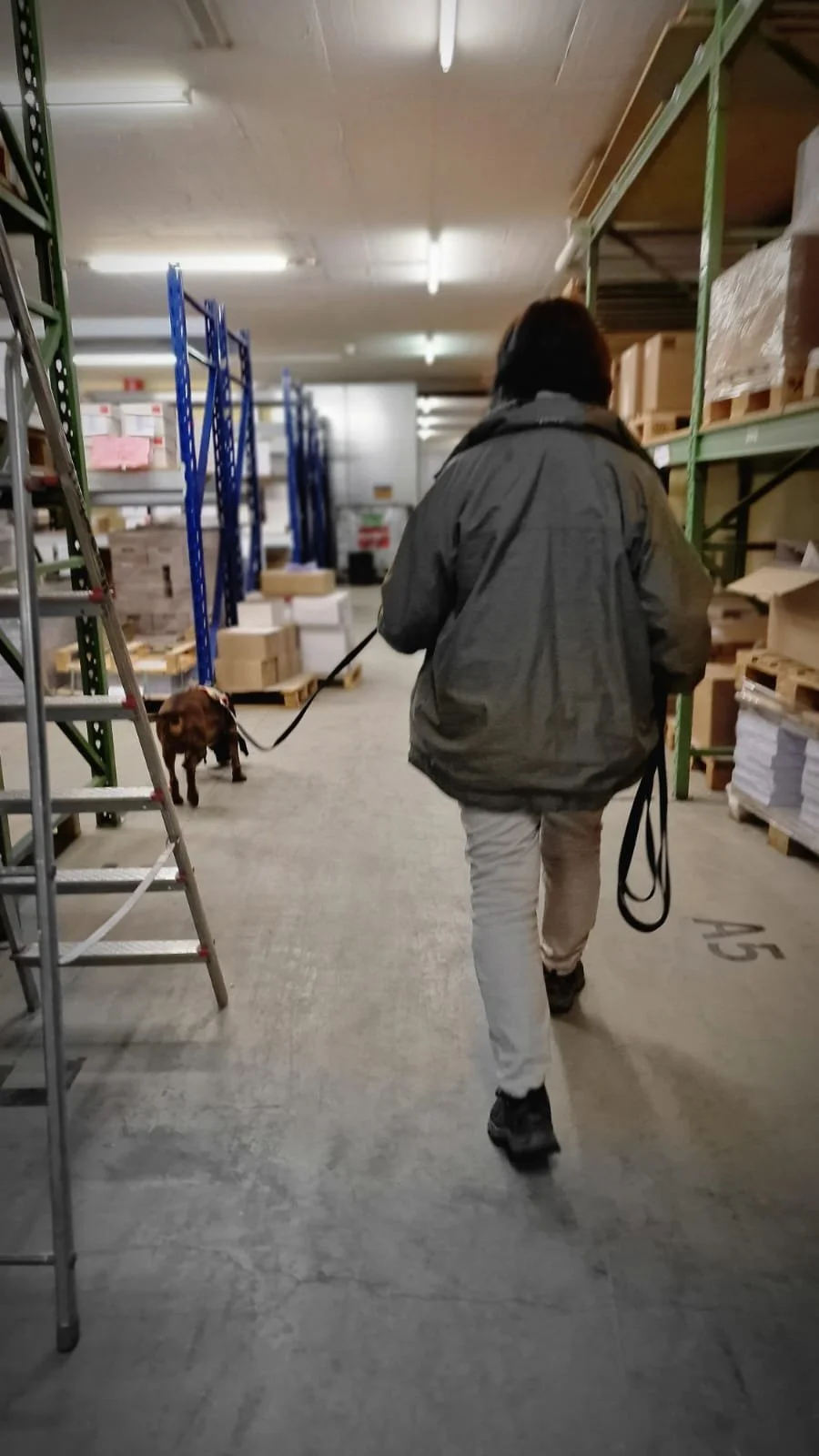 WhatsApp Image 2023-02-05 at 12.35.45 (1).jpeg