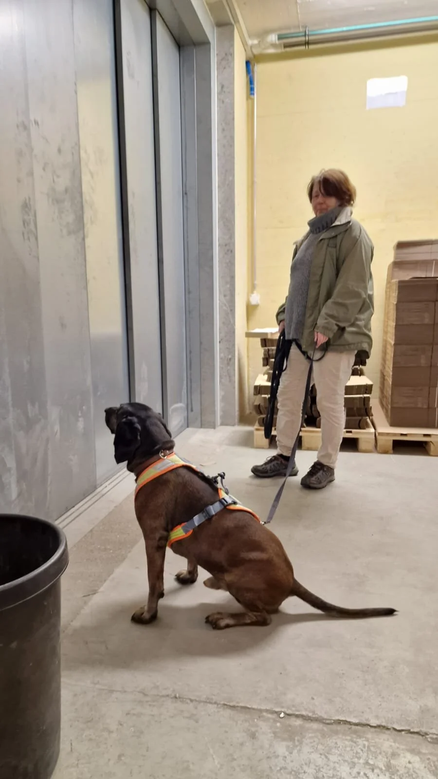 WhatsApp Image 2023-02-05 at 12.35.45.jpeg