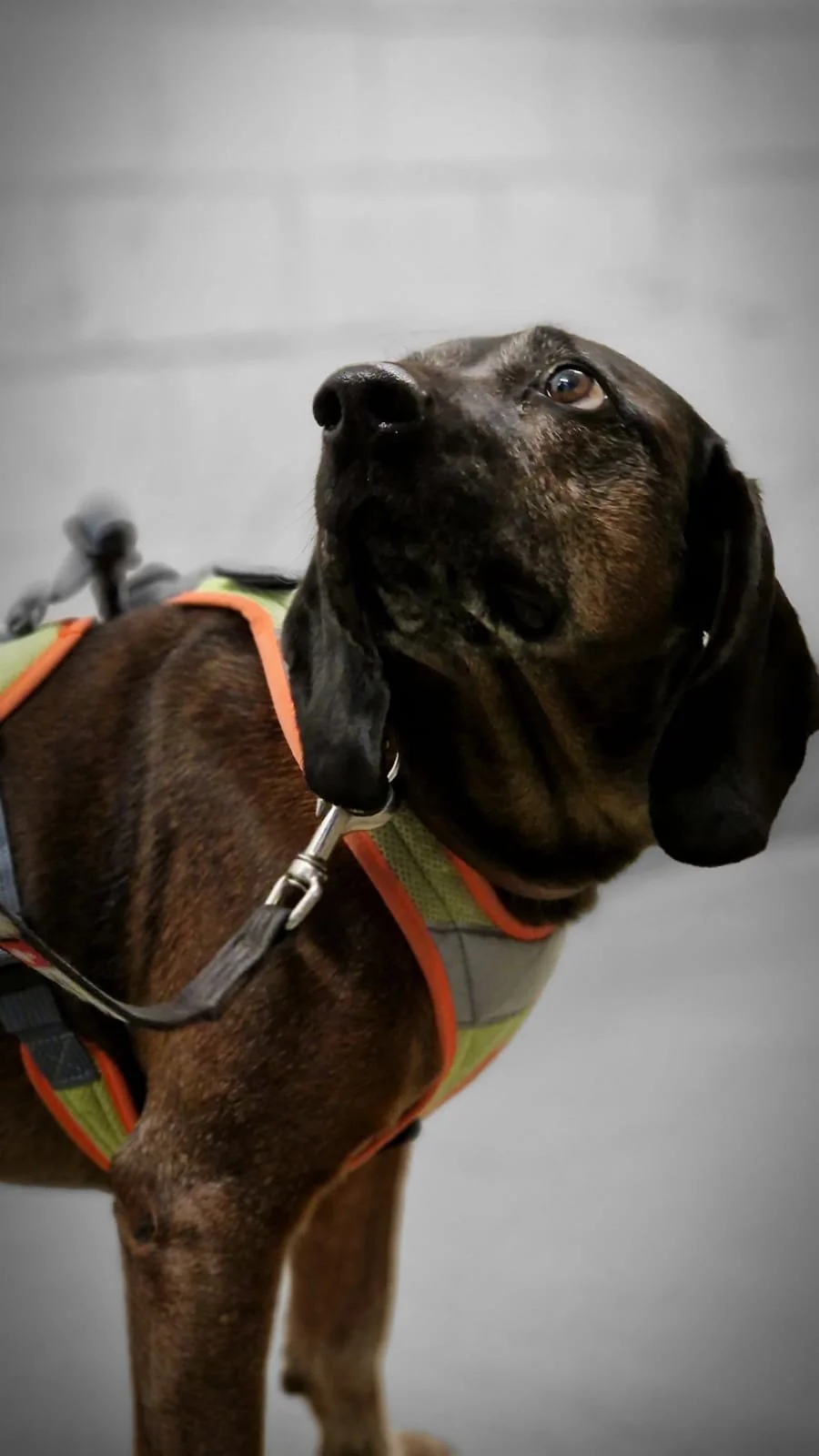 WhatsApp Image 2023-02-05 at 12.35.46.jpeg