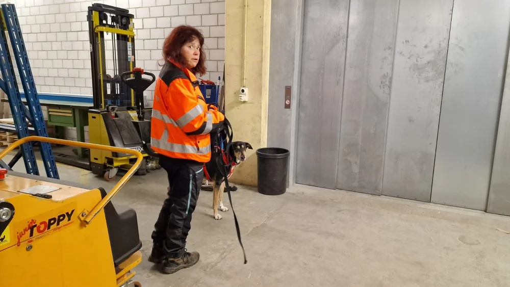 WhatsApp Image 2023-02-05 at 12.35.48 (1).jpeg