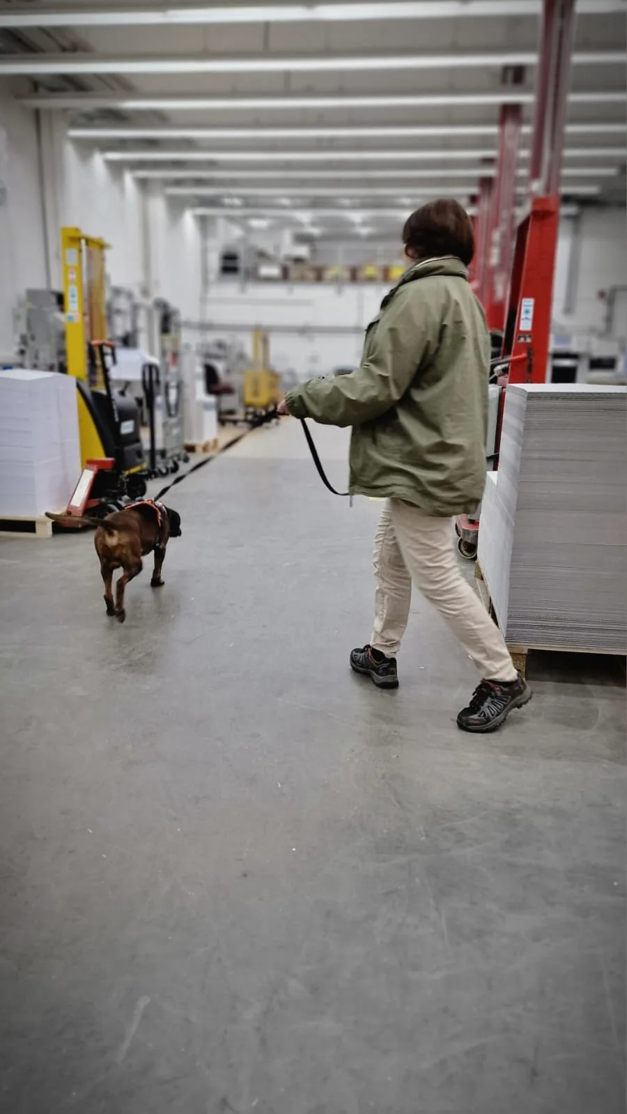 WhatsApp Image 2023-02-05 at 12.35.48.jpeg