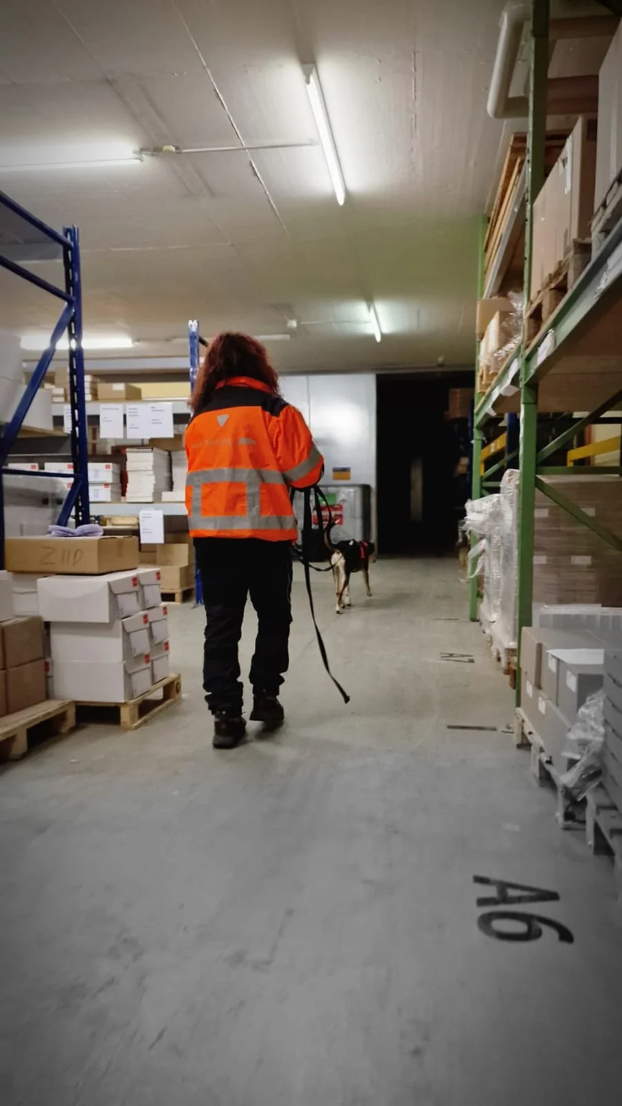 WhatsApp Image 2023-02-05 at 12.35.49 (1).jpeg