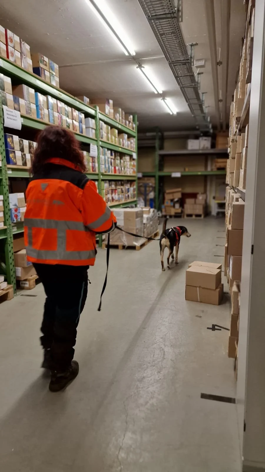 WhatsApp Image 2023-02-05 at 12.35.50.jpeg