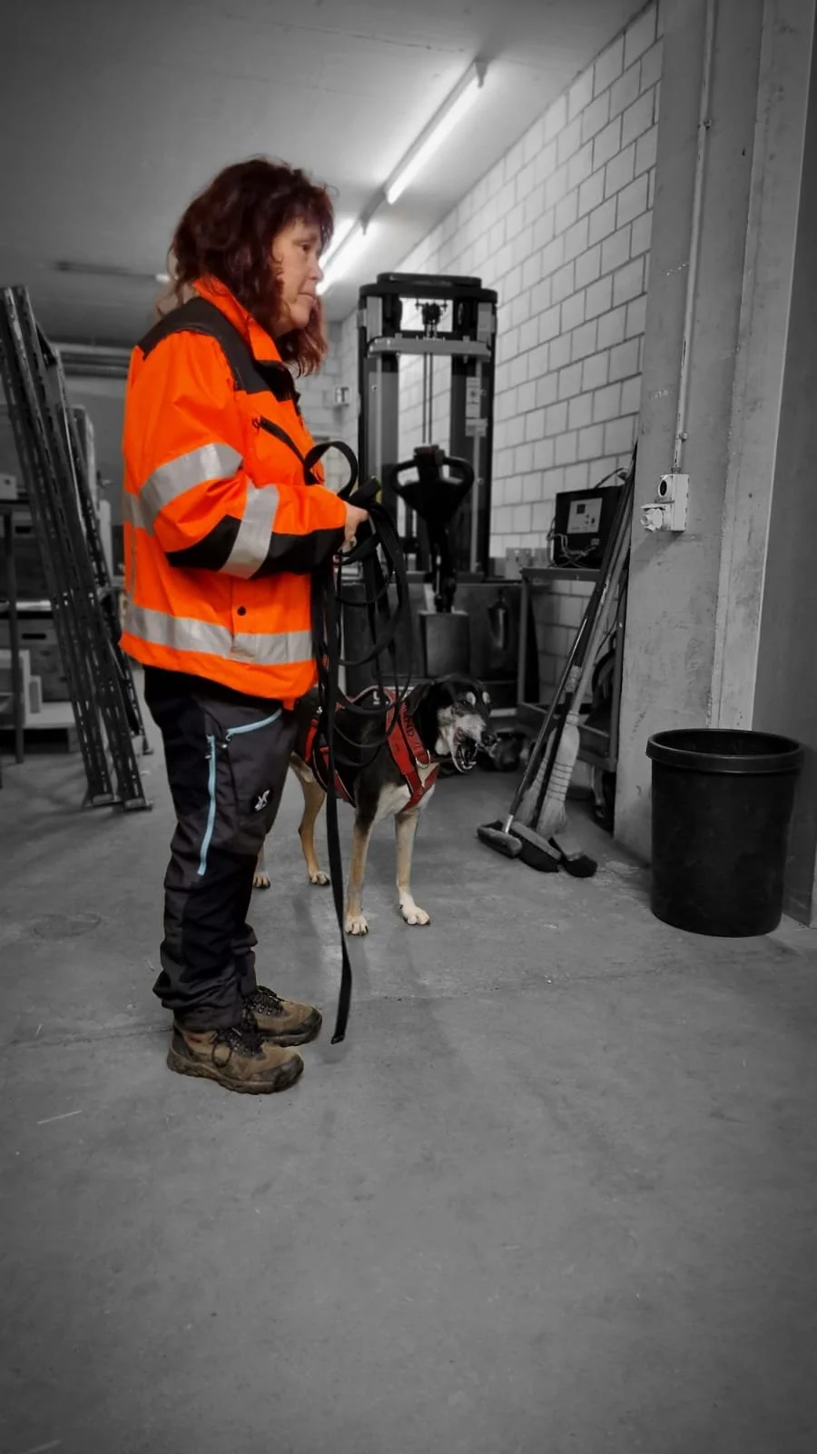 WhatsApp Image 2023-02-05 at 12.35.52.jpeg