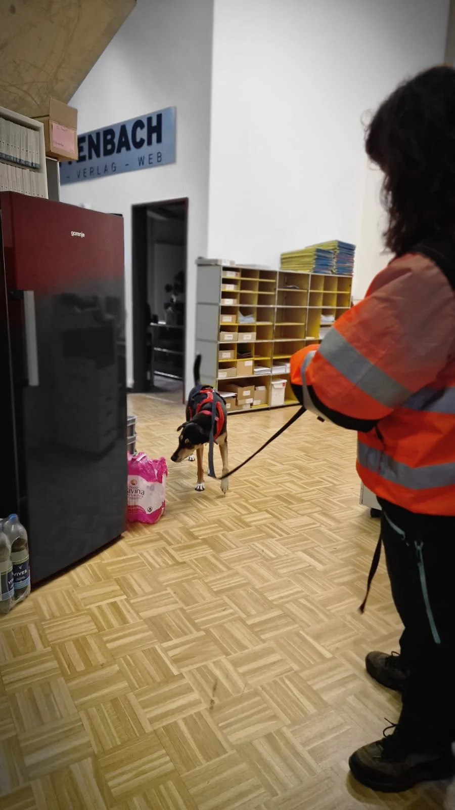 WhatsApp Image 2023-02-05 at 12.35.53.jpeg