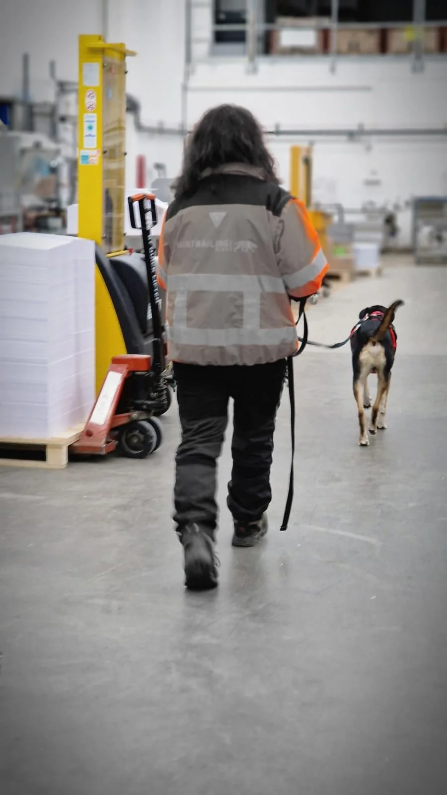 WhatsApp Image 2023-02-05 at 12.35.54.jpeg