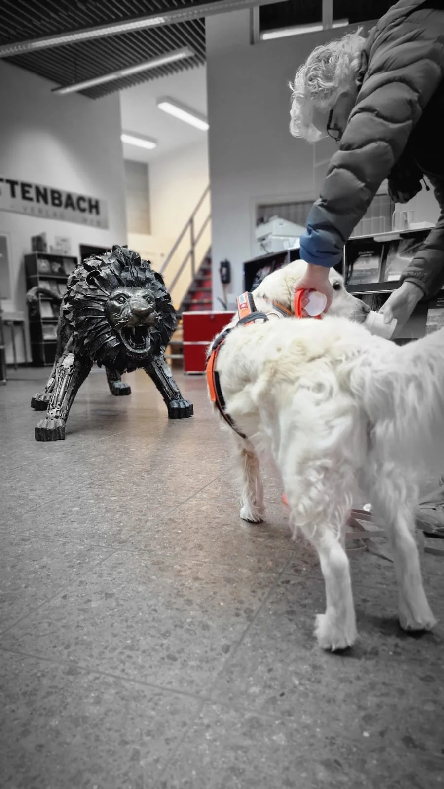 WhatsApp Image 2023-02-05 at 12.35.55 (1).jpeg