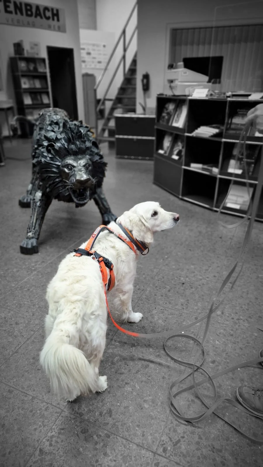 WhatsApp Image 2023-02-05 at 12.35.55.jpeg