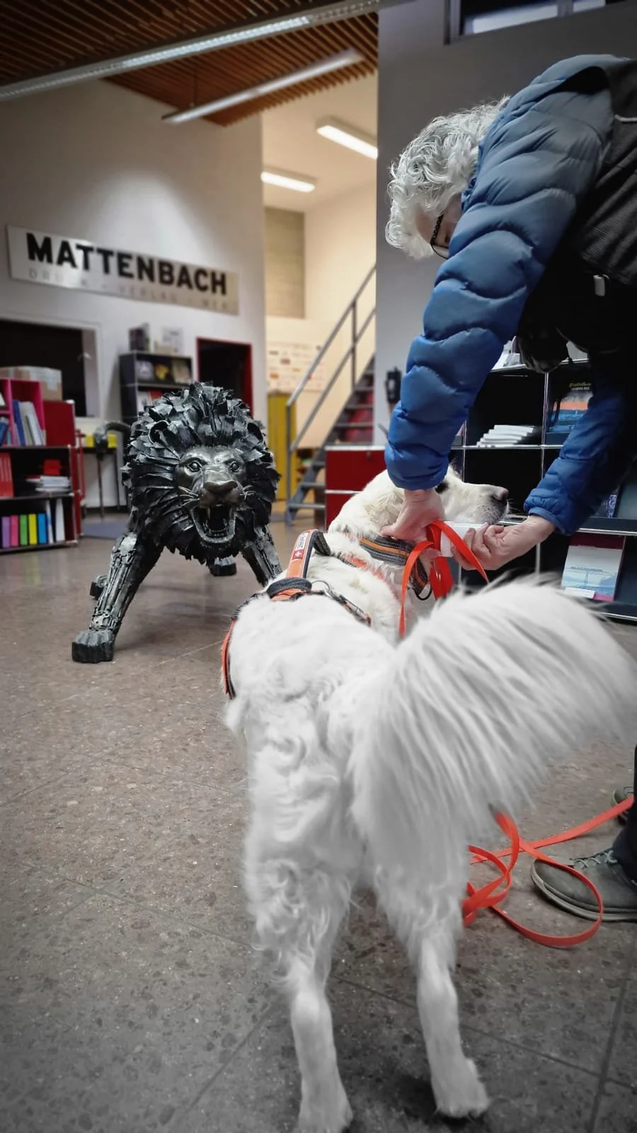 WhatsApp Image 2023-02-05 at 12.35.56.jpeg