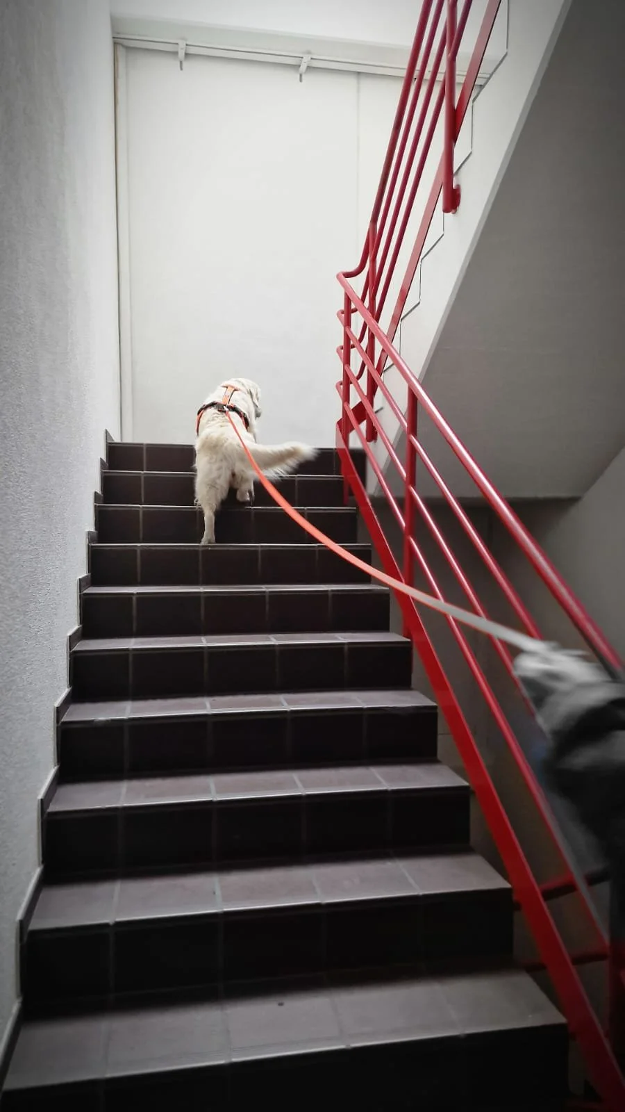 WhatsApp Image 2023-02-05 at 12.35.58.jpeg