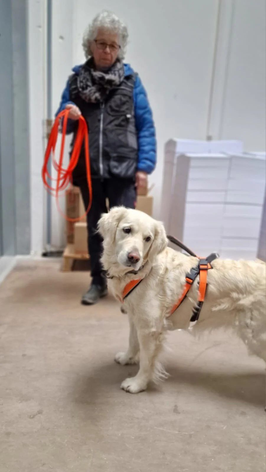 WhatsApp Image 2023-02-05 at 12.35.59 (1).jpeg