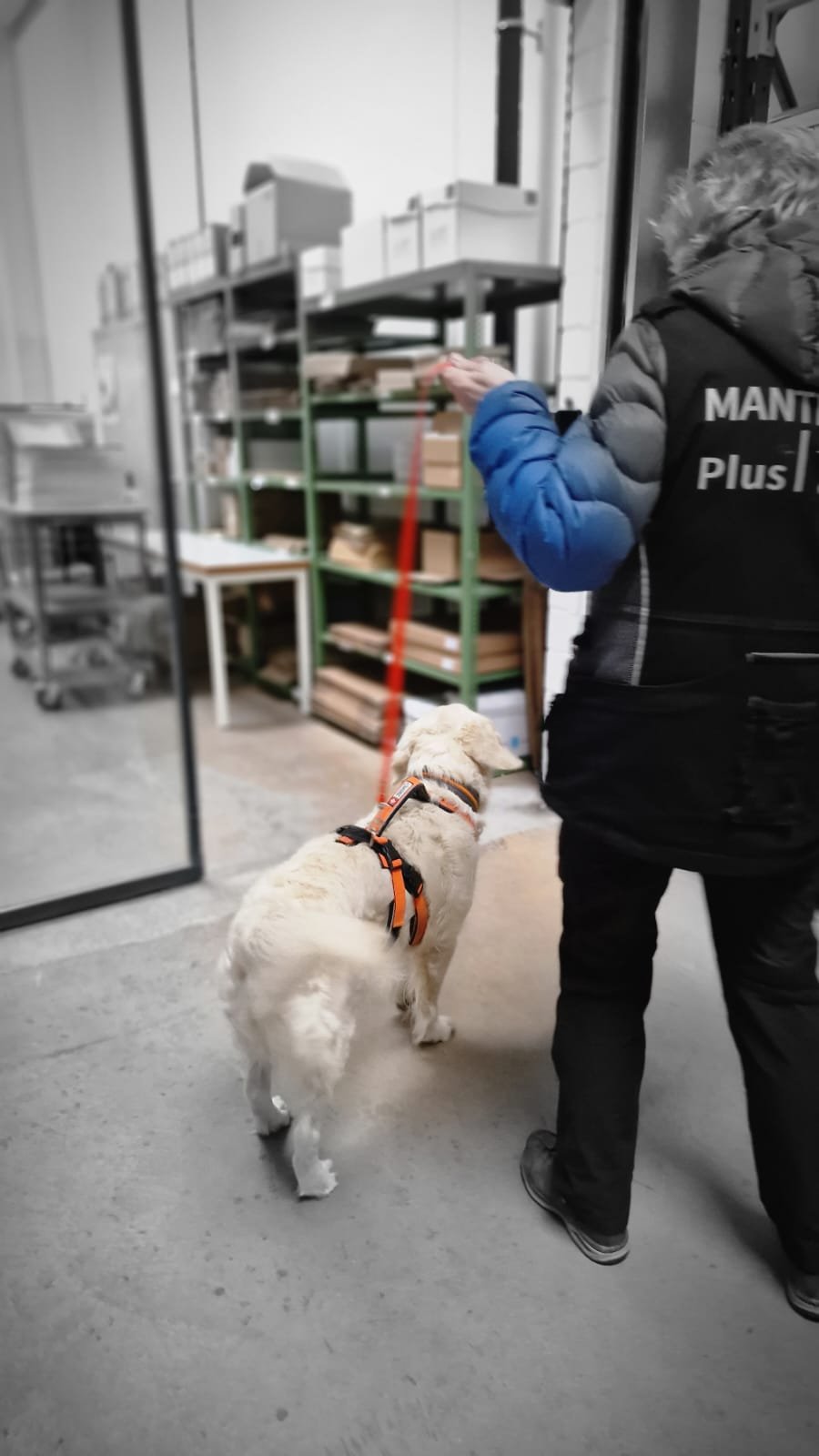 WhatsApp Image 2023-02-05 at 12.36.00 (1).jpeg