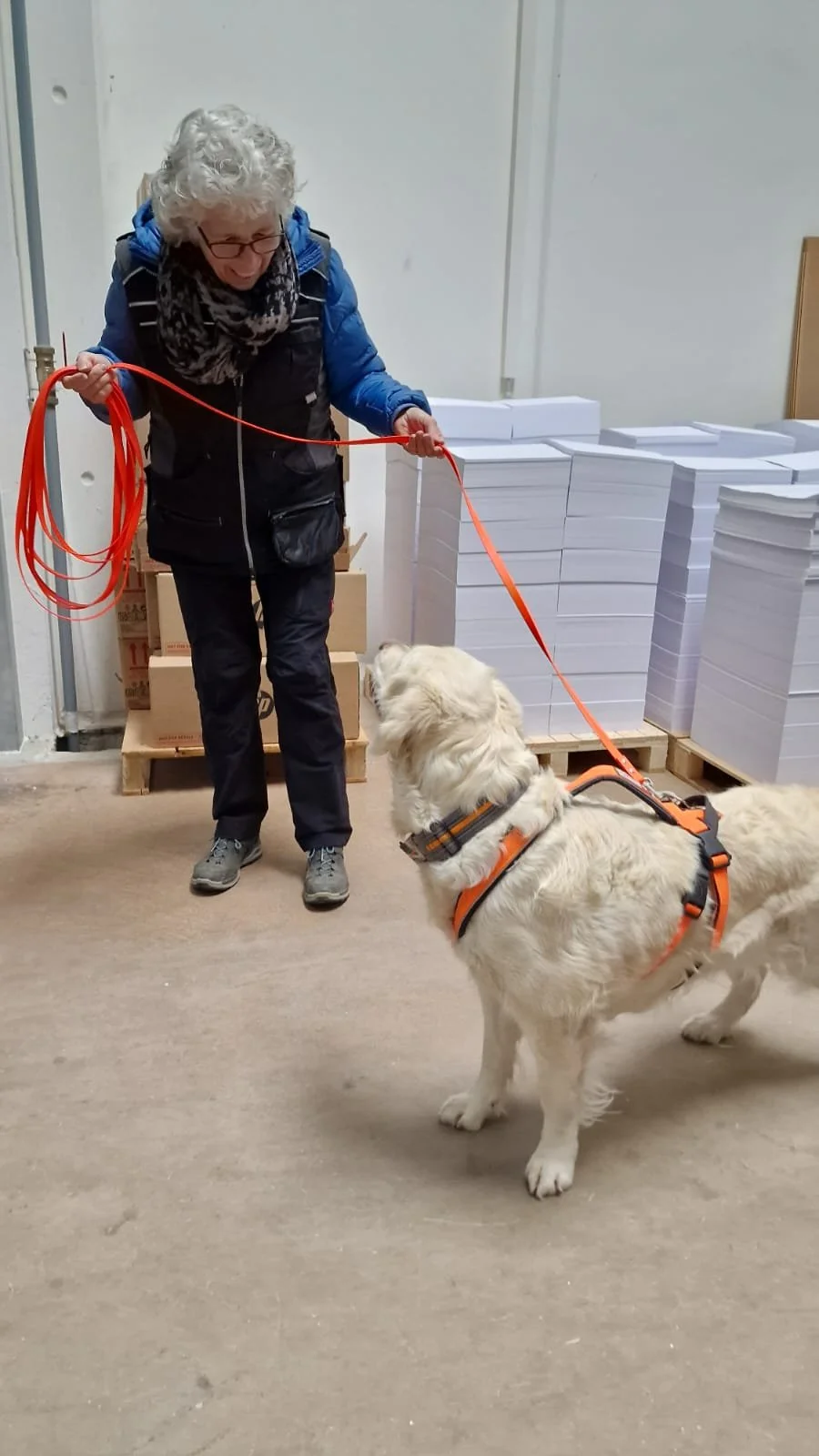 WhatsApp Image 2023-02-05 at 12.36.00.jpeg