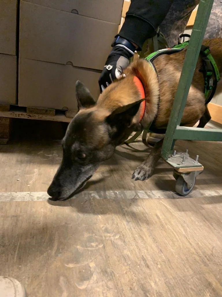 WhatsApp Image 2023-02-06 at 09.18.32 (2).jpeg