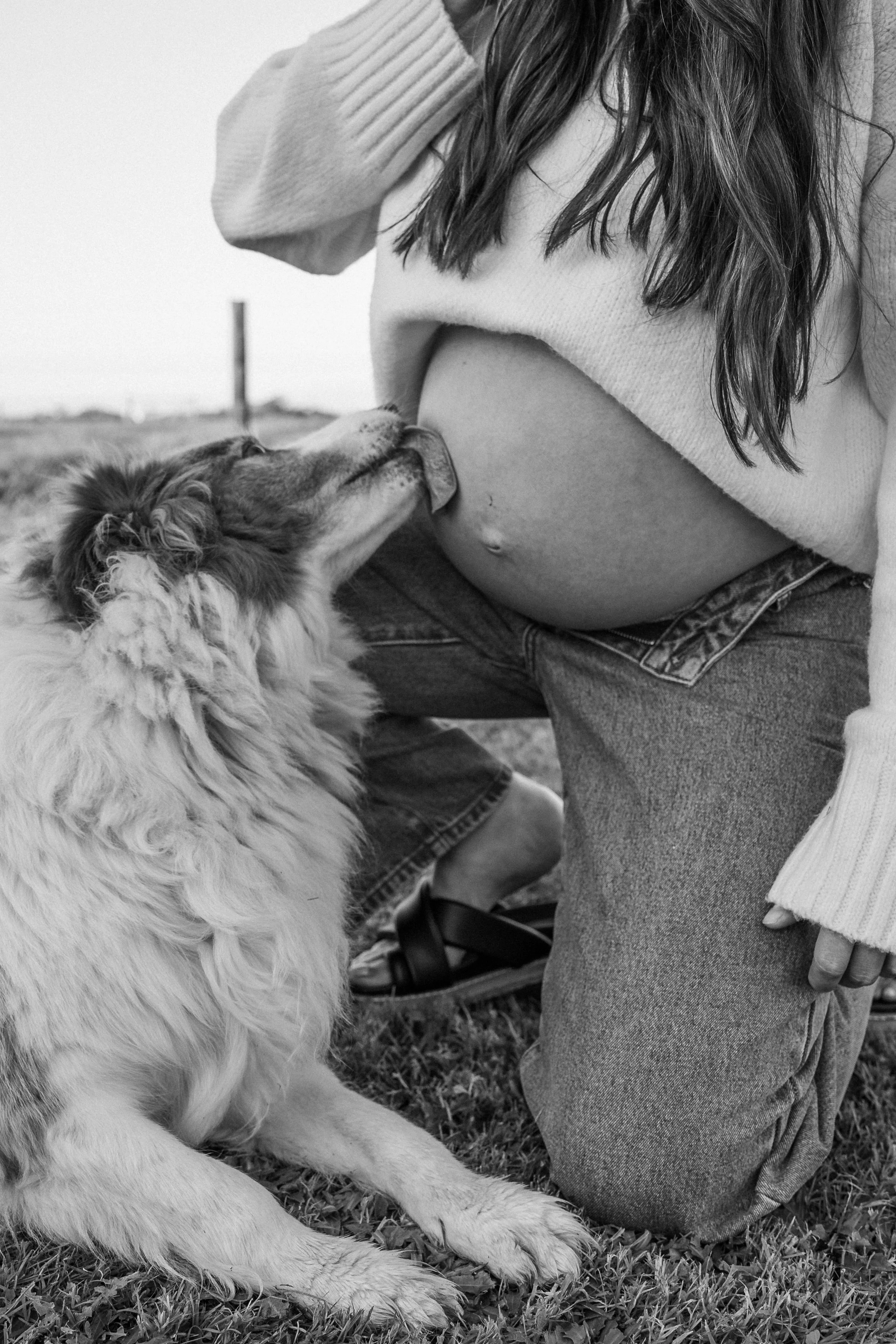 maternity with dogs