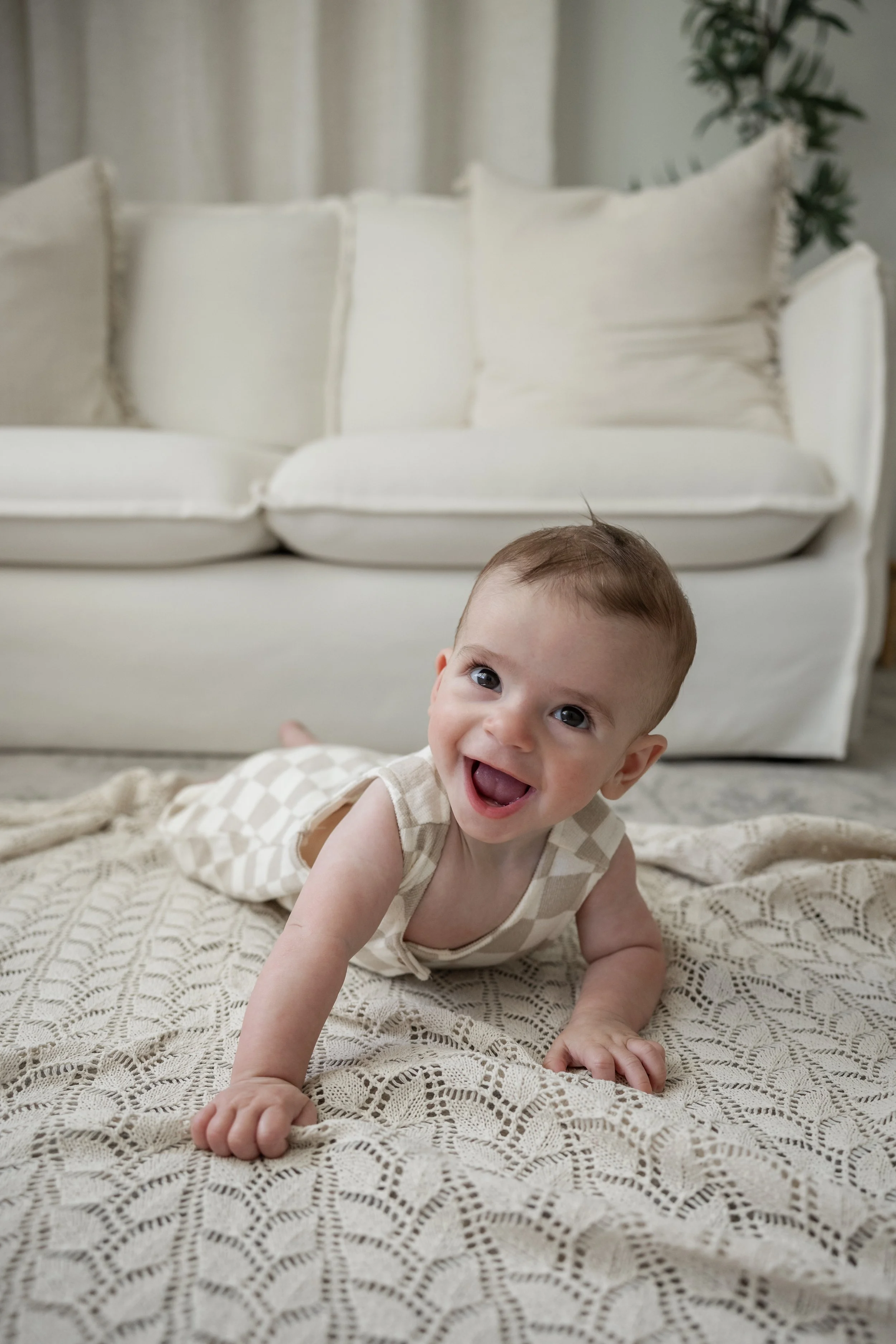 sitter session photographer