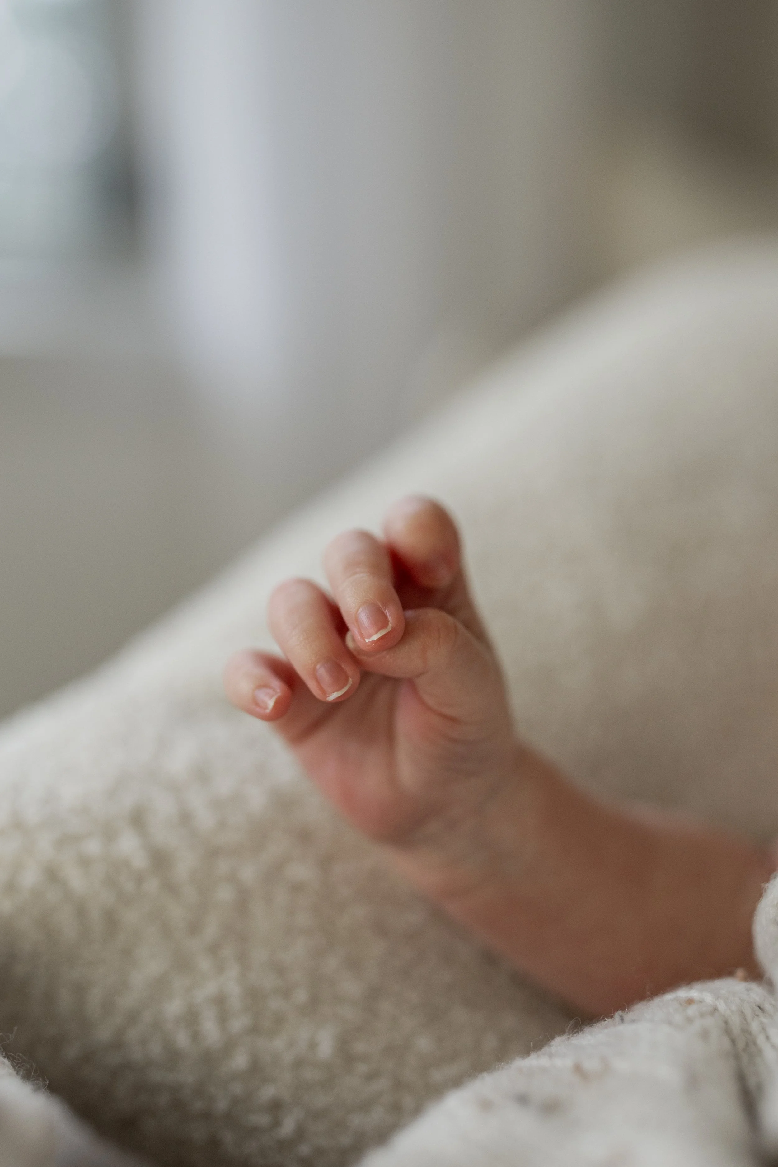 Nicholas Newborn-8531.jpg