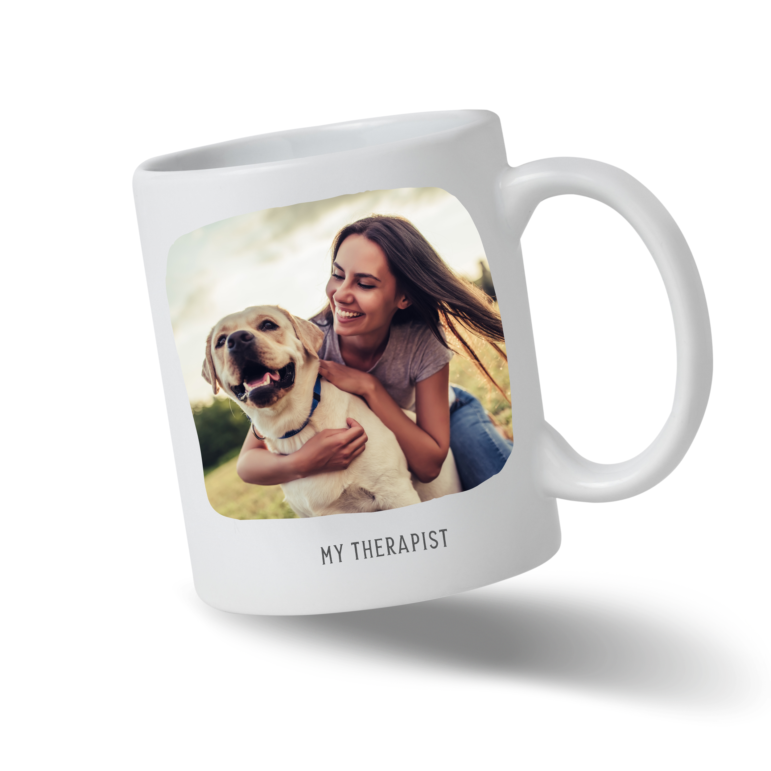 Pet Example.png