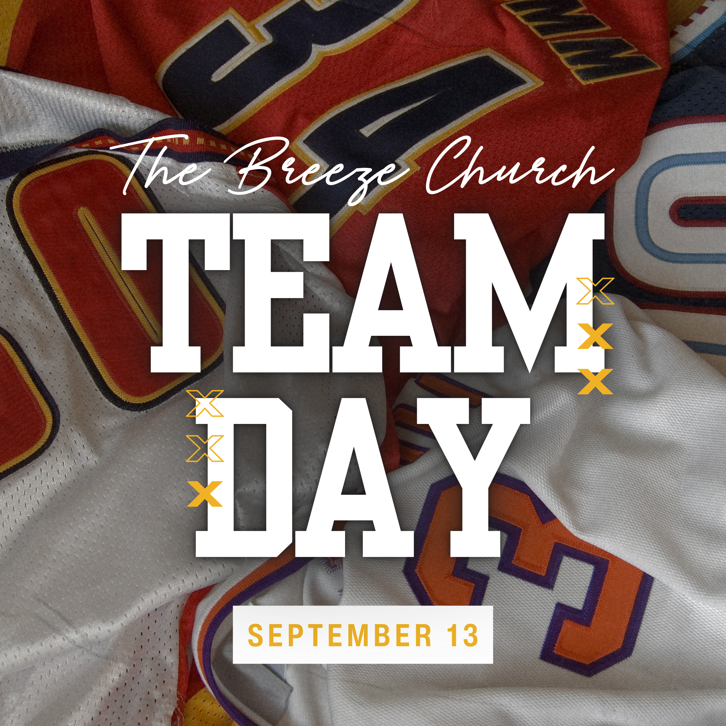 Team Day Square.png