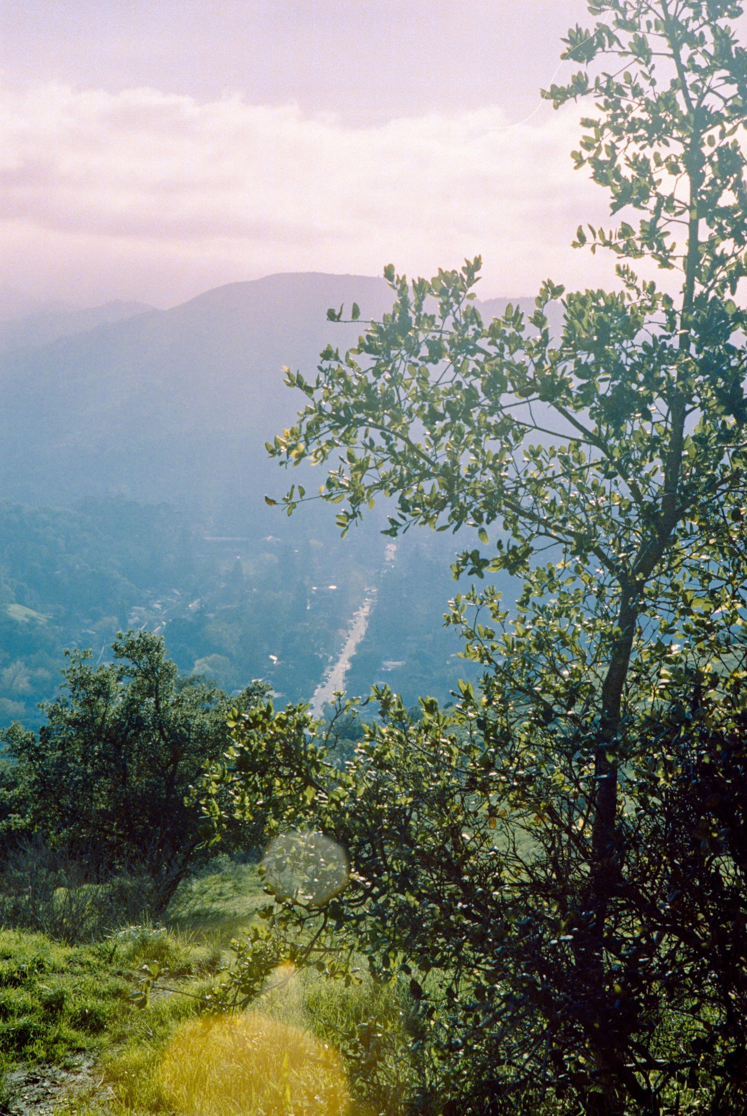 608EE0A1-4CCC-40C7-A95C-98785657325F.jpeg