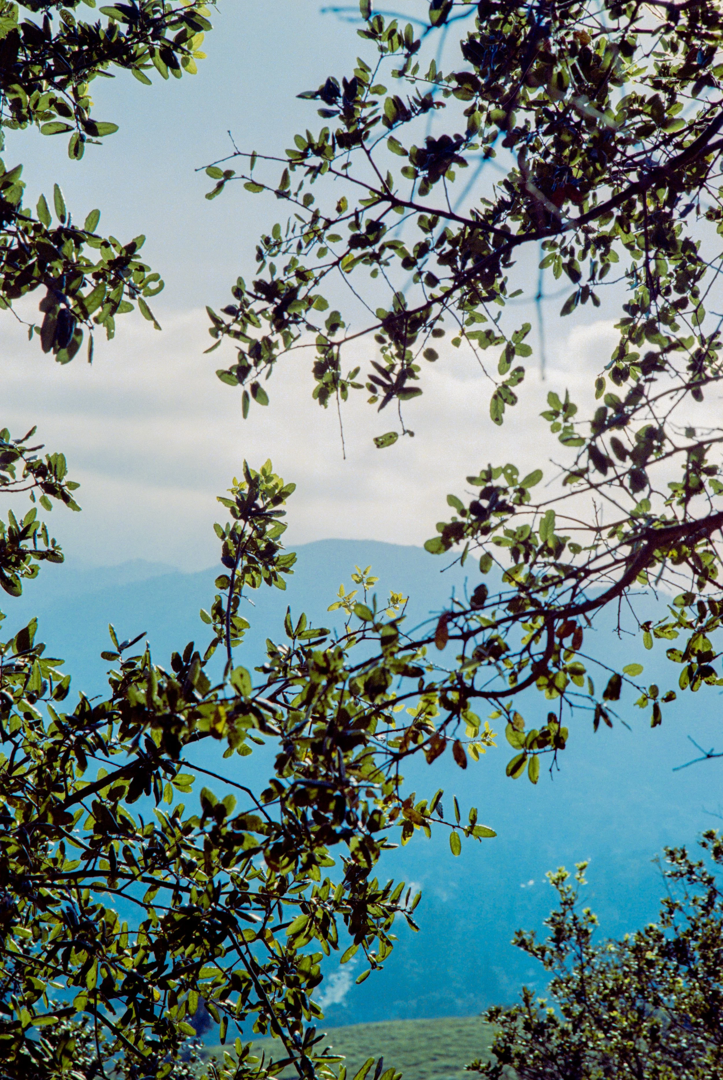 386764C6-0ADE-4605-B0F5-F900E94BA921.jpeg