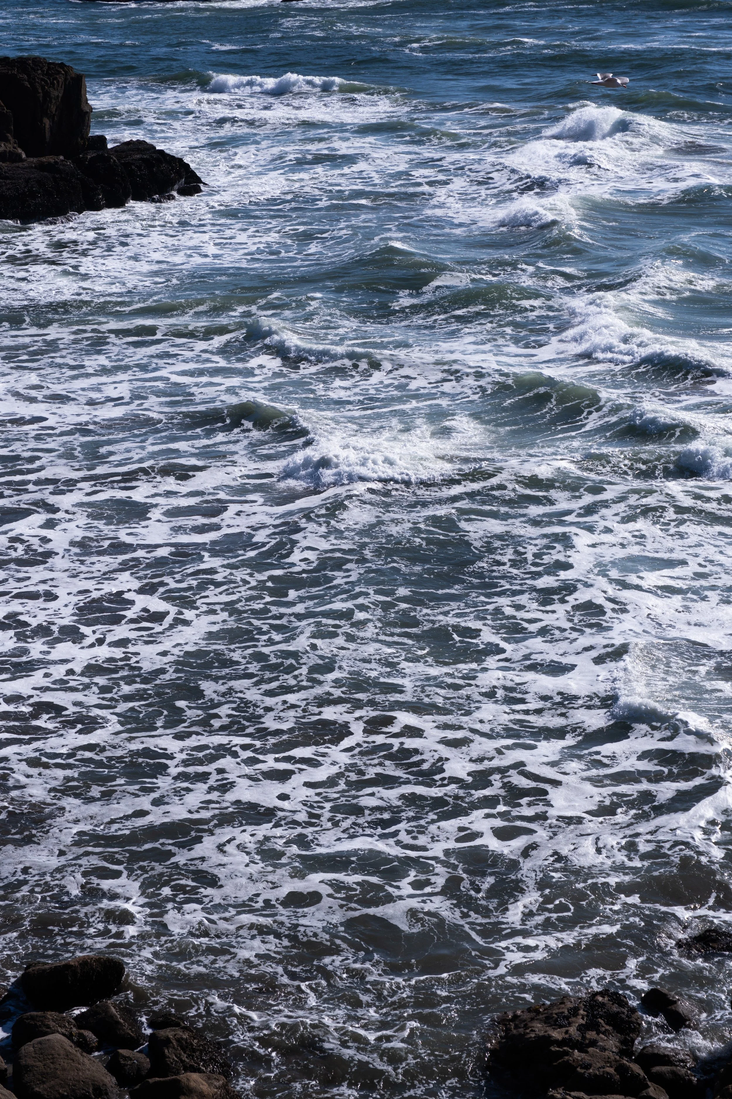 Lands End, San Francisco