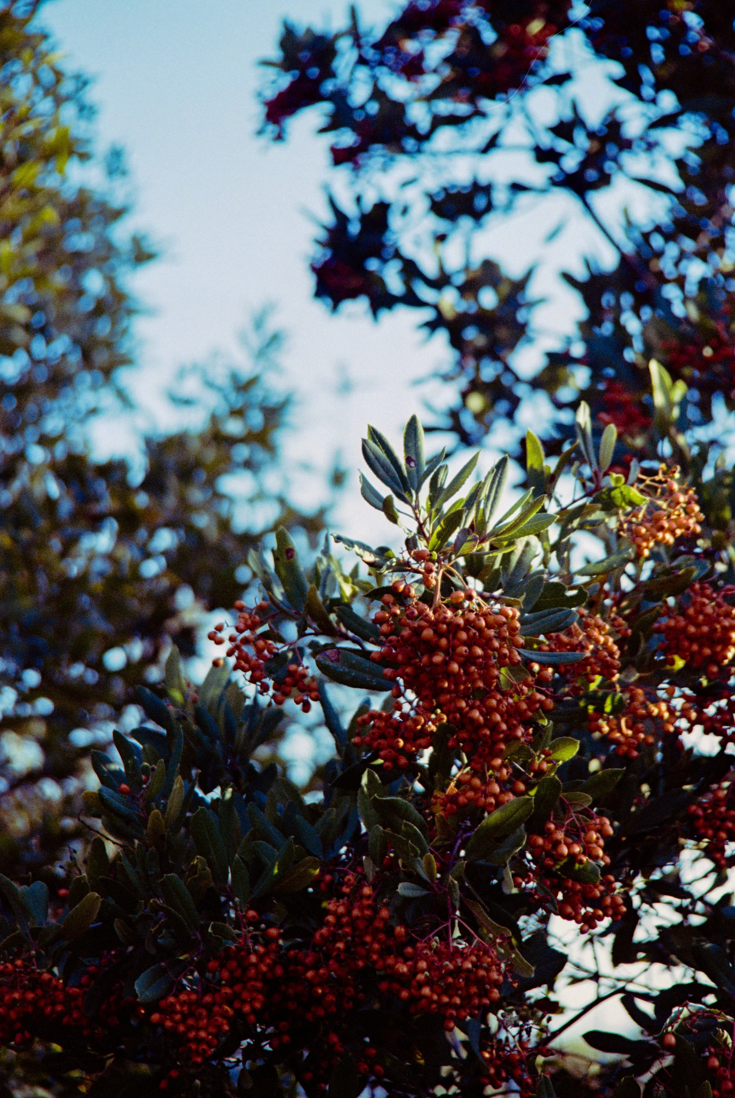 B71C3183-9DE4-45C1-A000-F5E9DE79A2C4.jpeg
