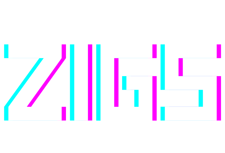 DJ Zigs