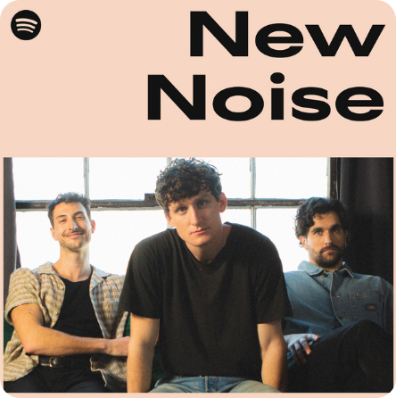 playlist.data.rizing.png