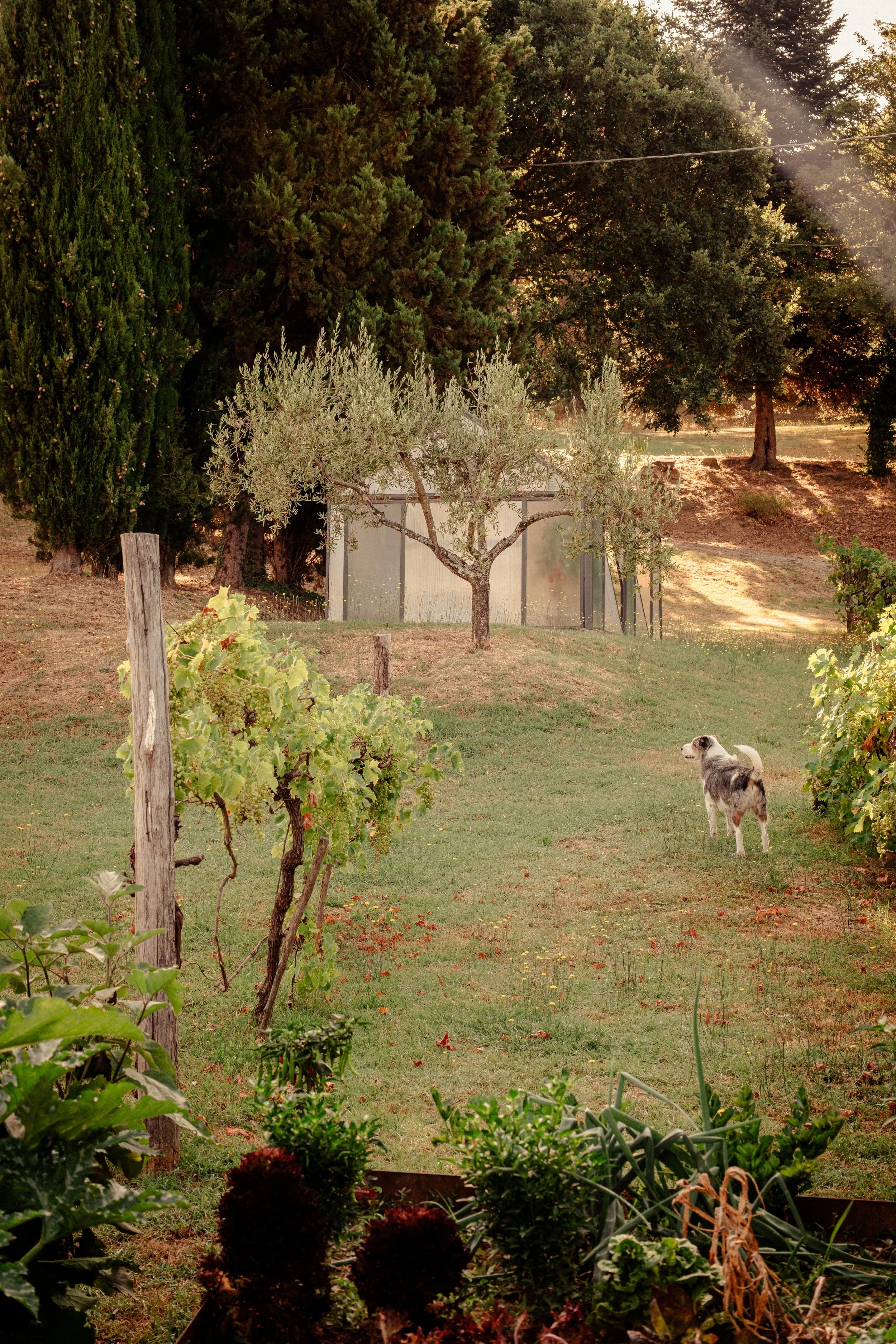 DSCF2347-min.jpg