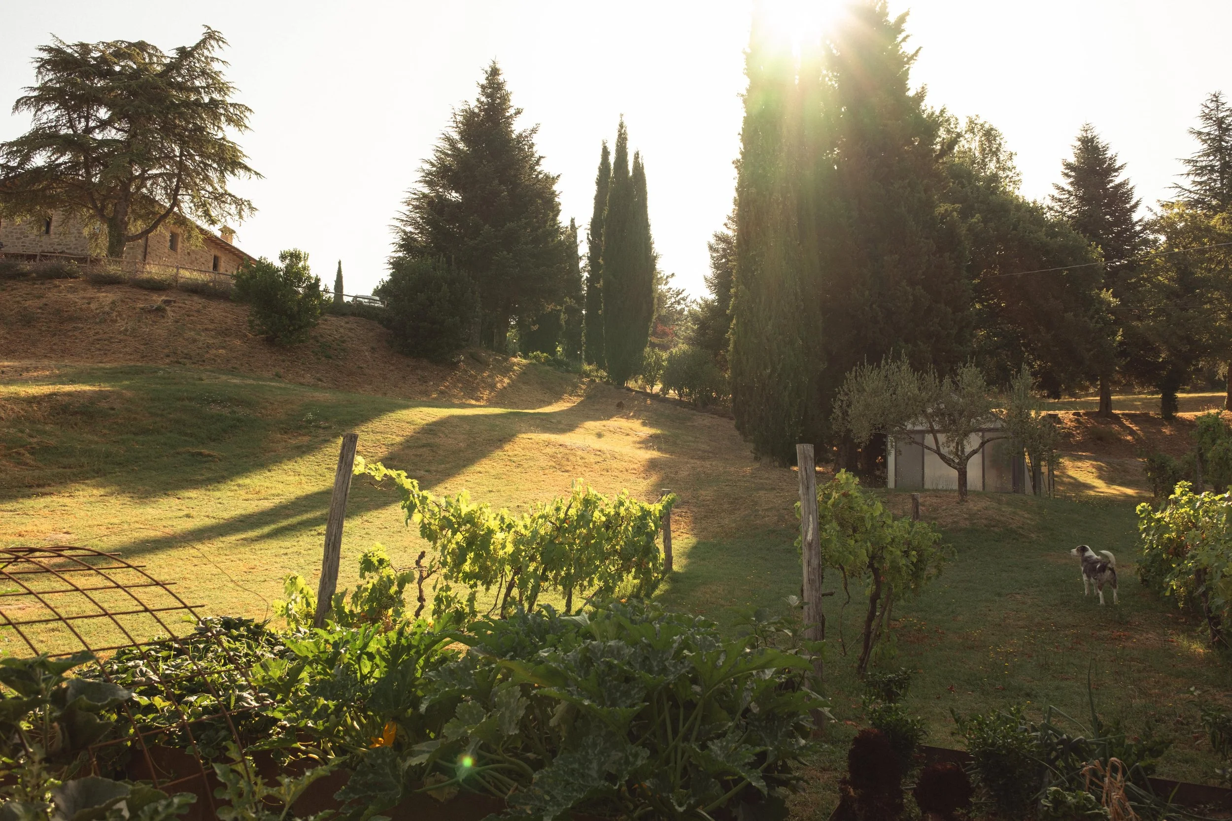 DSCF2353-min.jpg