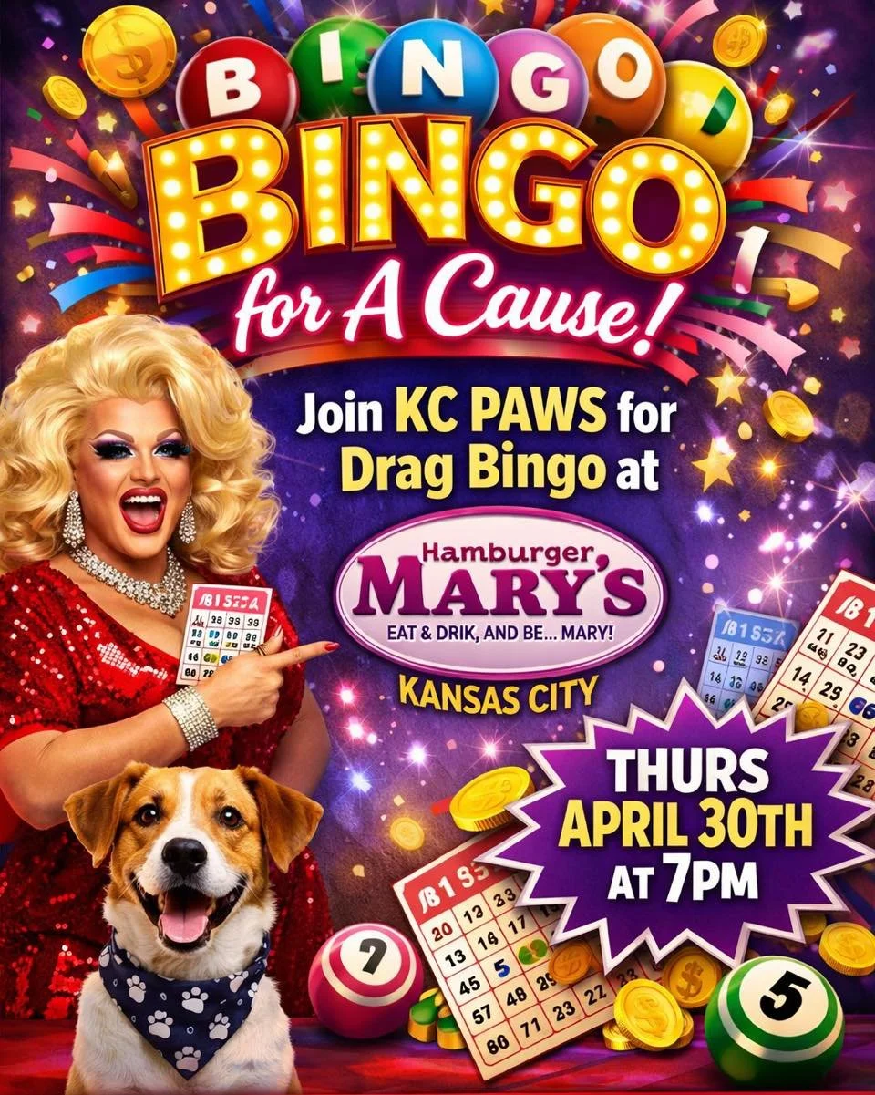 Charity Bingo at Hamburger Marys