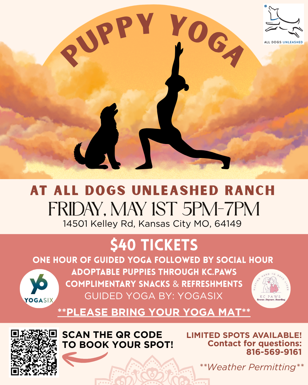 Puppy Yoga with All Dogs Unleashed