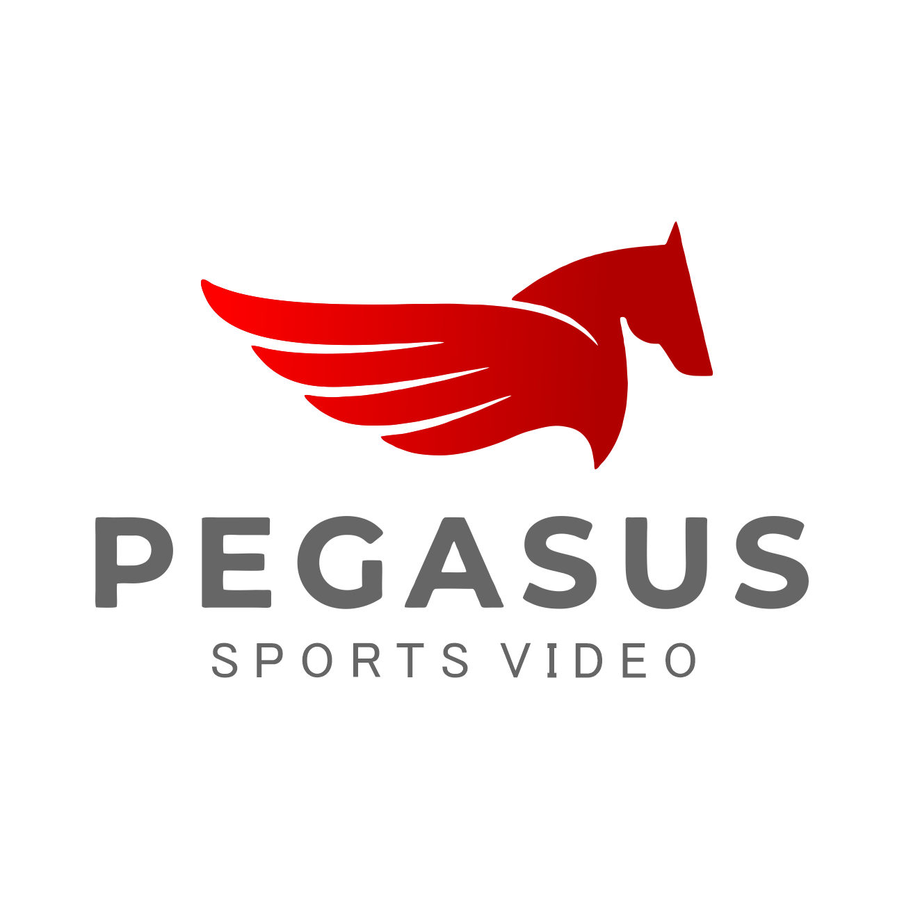Pegasus Sports Video