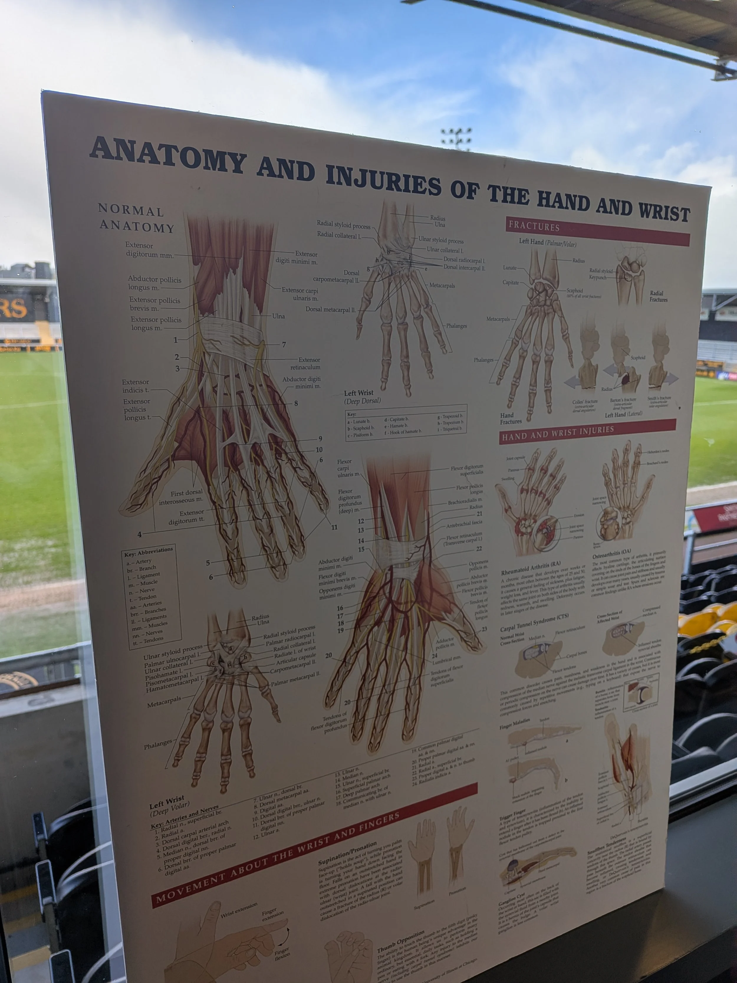 PXL_20260325_112210902.jpg