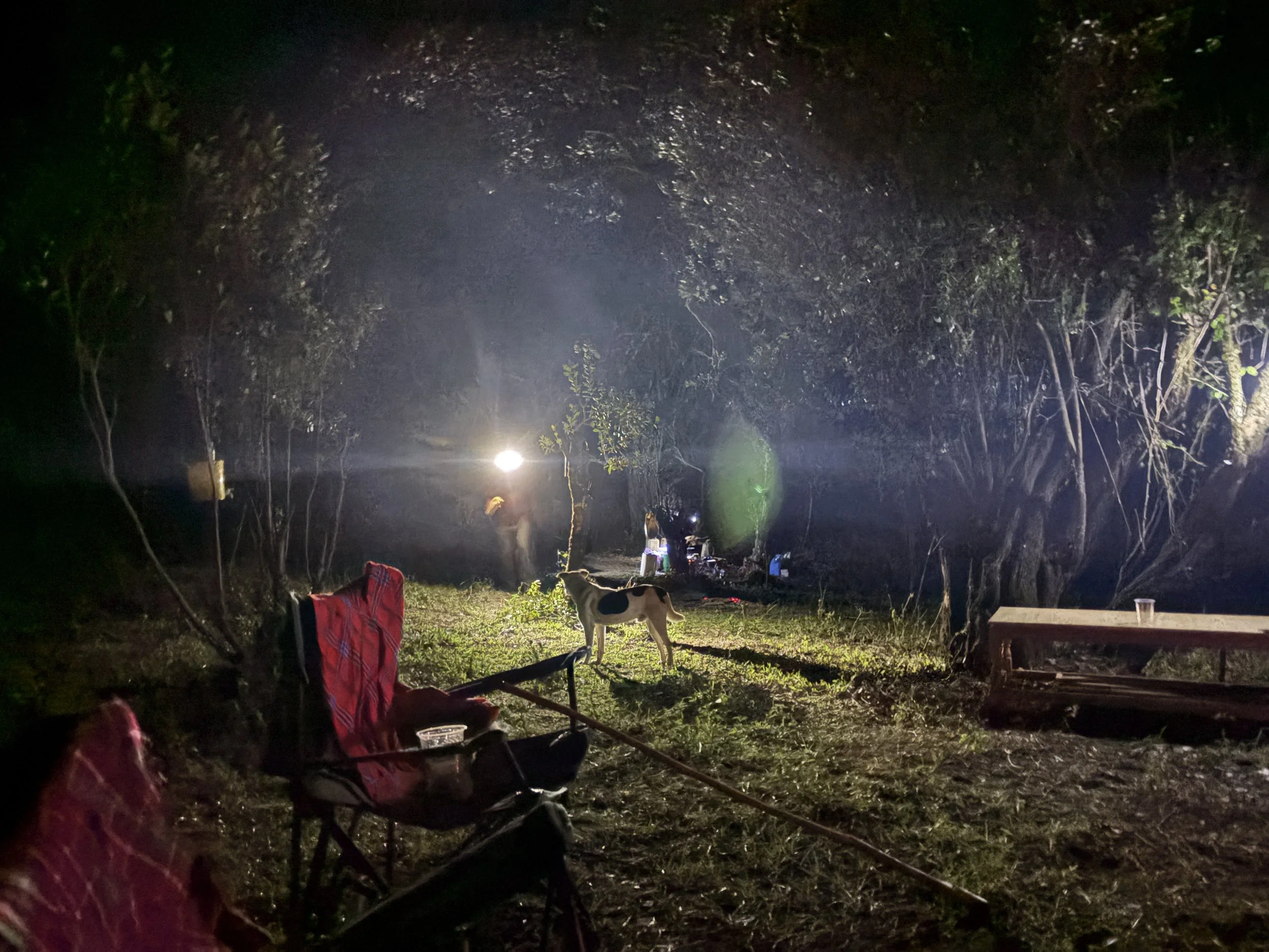 IMG_night camp.JPG