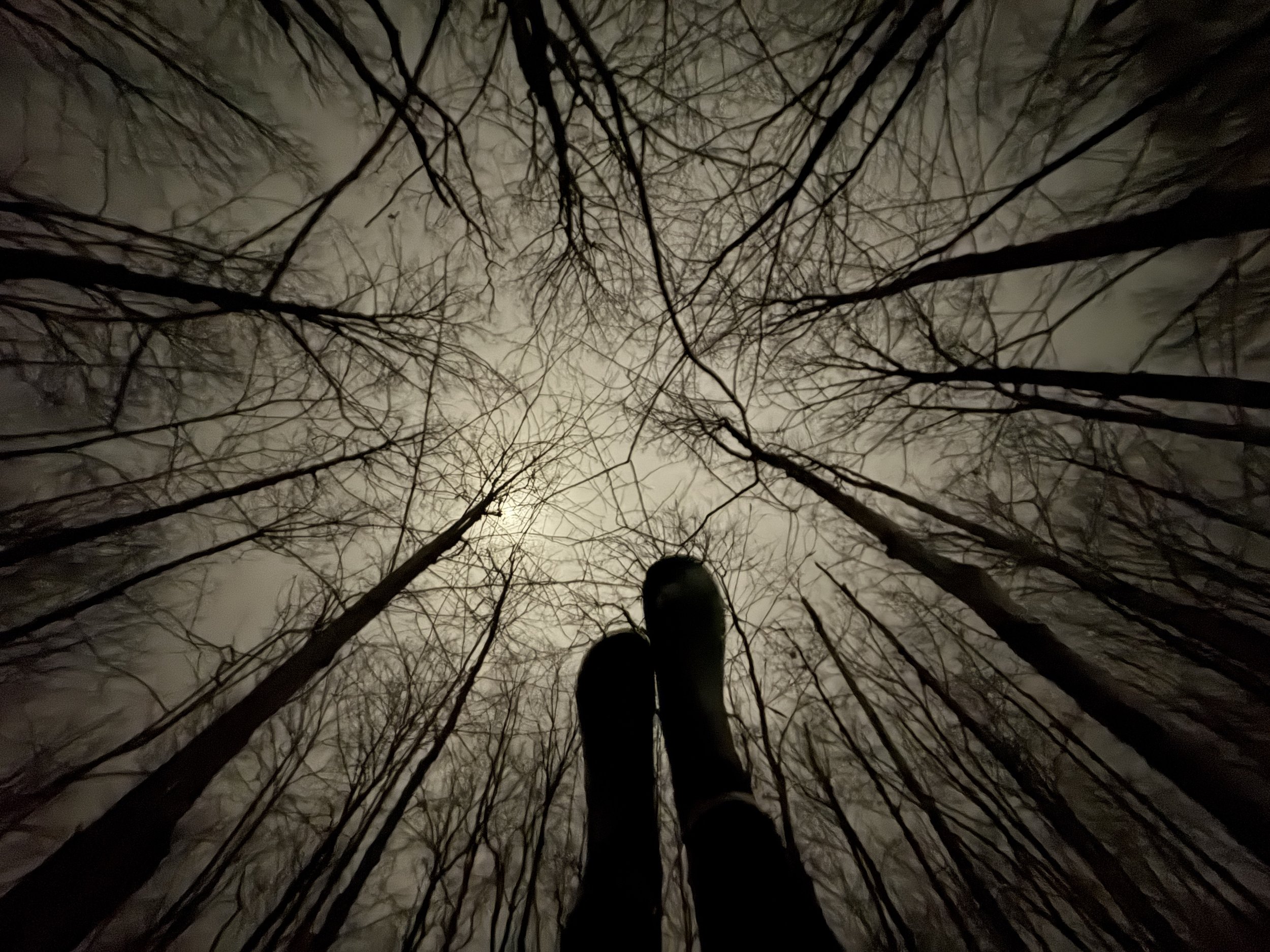 af connections new banner.JPG