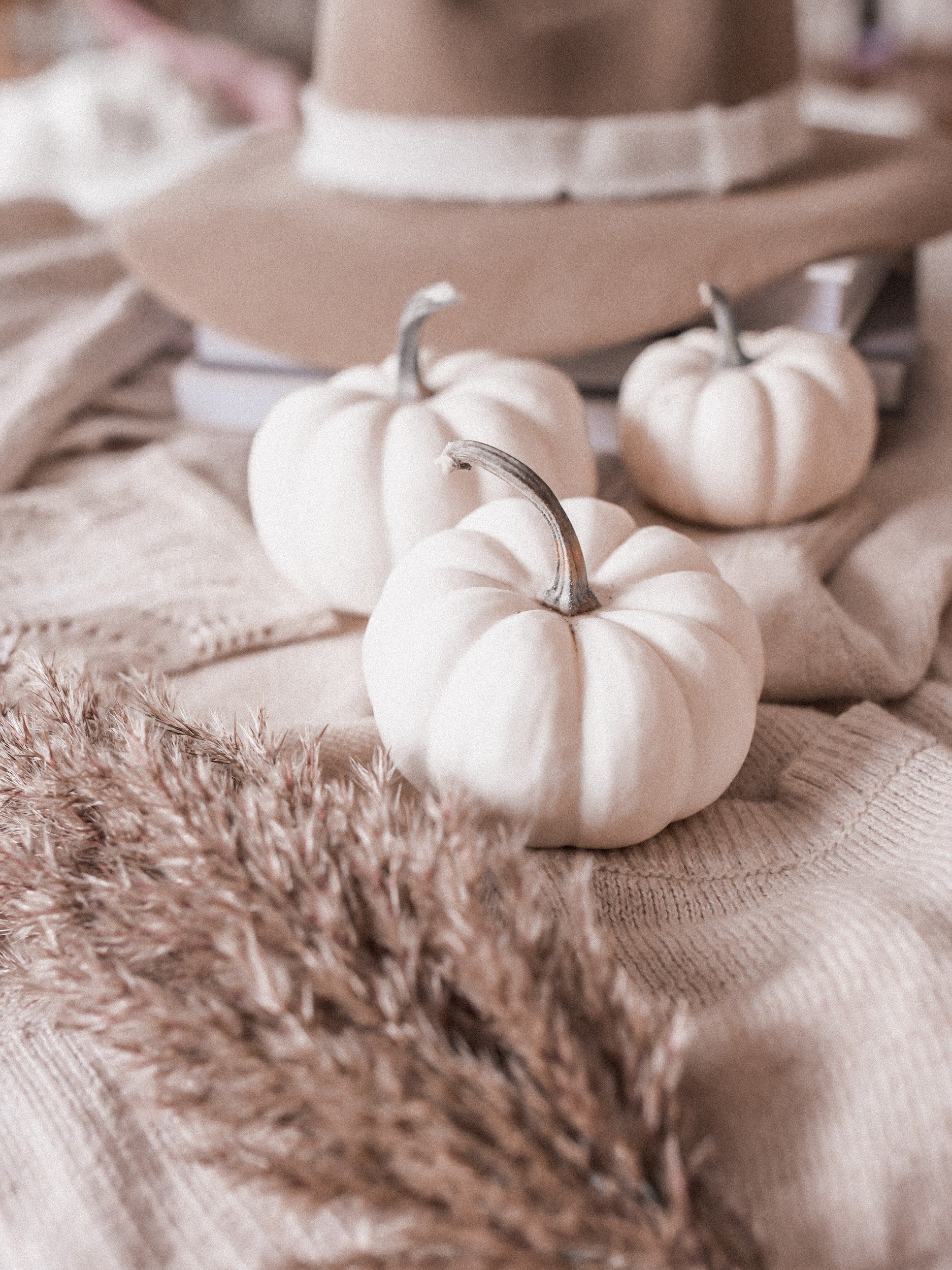 Prep Your Home for the Fall
