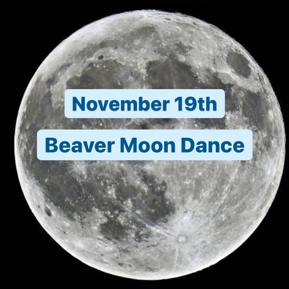 My highly esteemed comrade, @liljesphotography and I have been dreaming and doing.
.
I have a desire to be a part of bringing community together. And I had a vision of a dance on the next full moon. The Beaver Moon. It symbolizes being architects of 