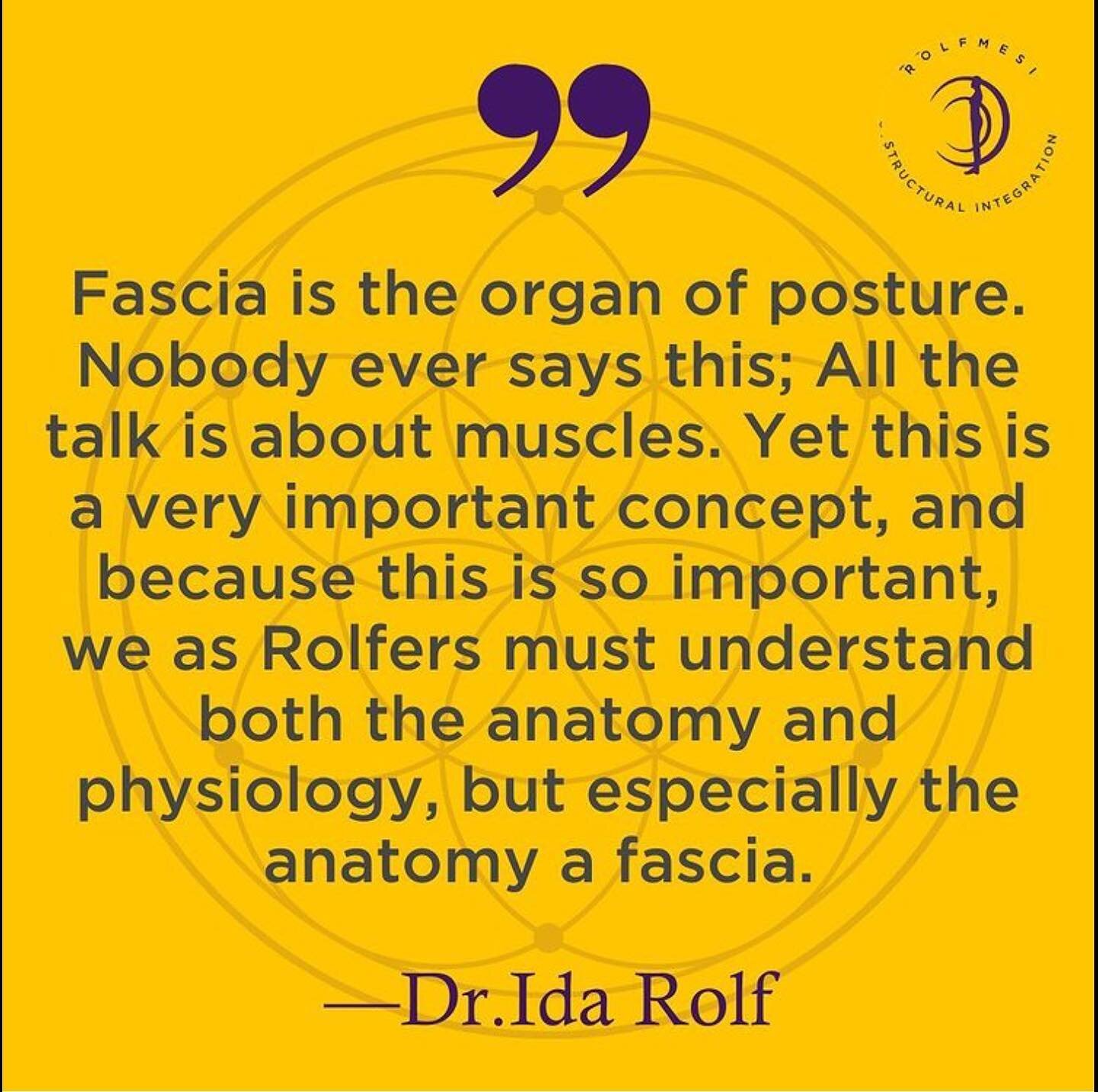 Habits form at the speed of fascia.