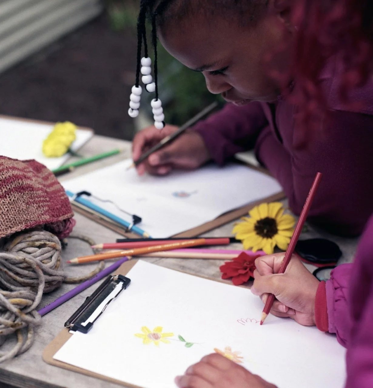 students drawing flowers from life outside