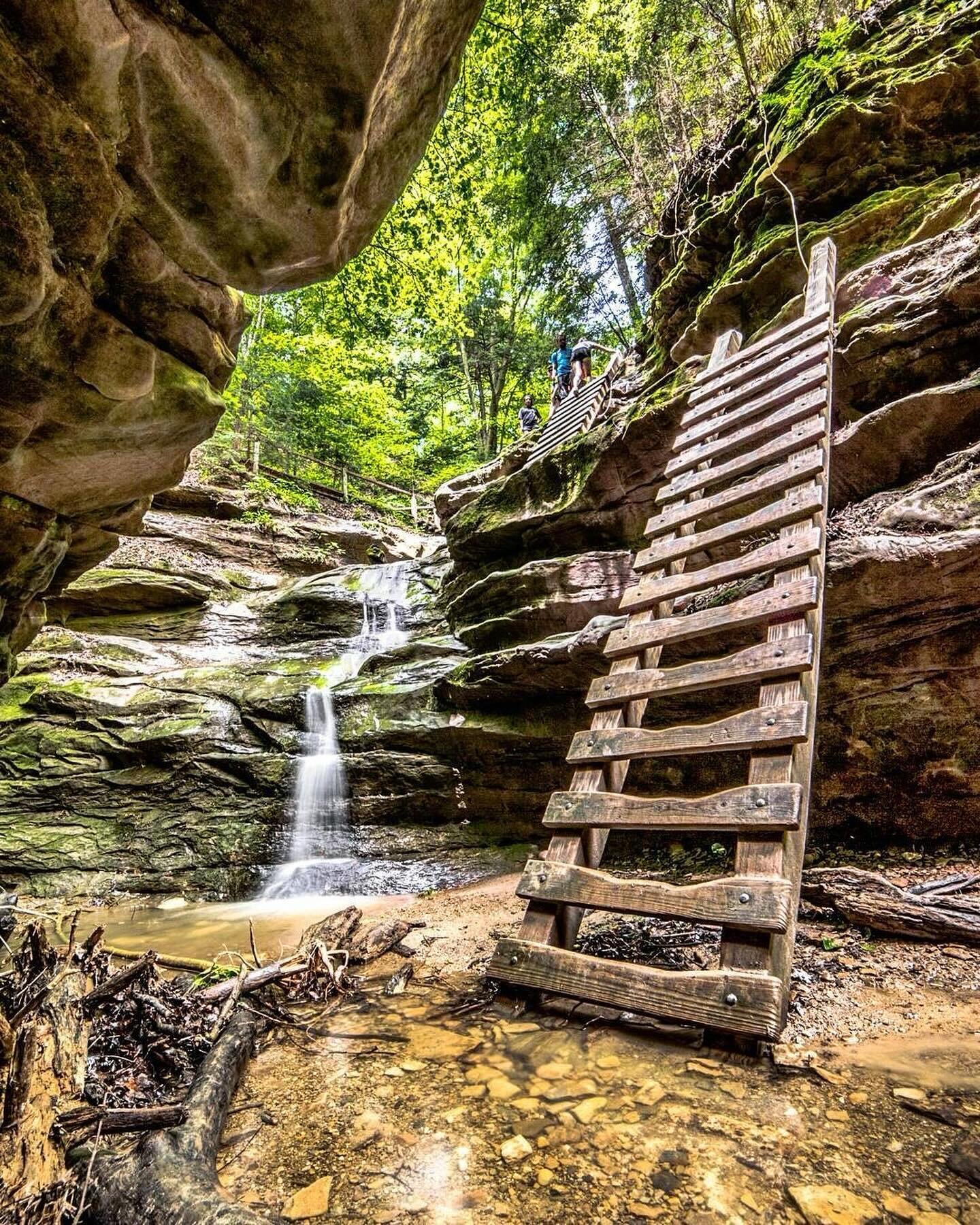 Experience INDIANA&rsquo;S #1 STATE PARK, Turkey Run State Park in Parke County, Indiana! 🌿 Ranking by @alltrails