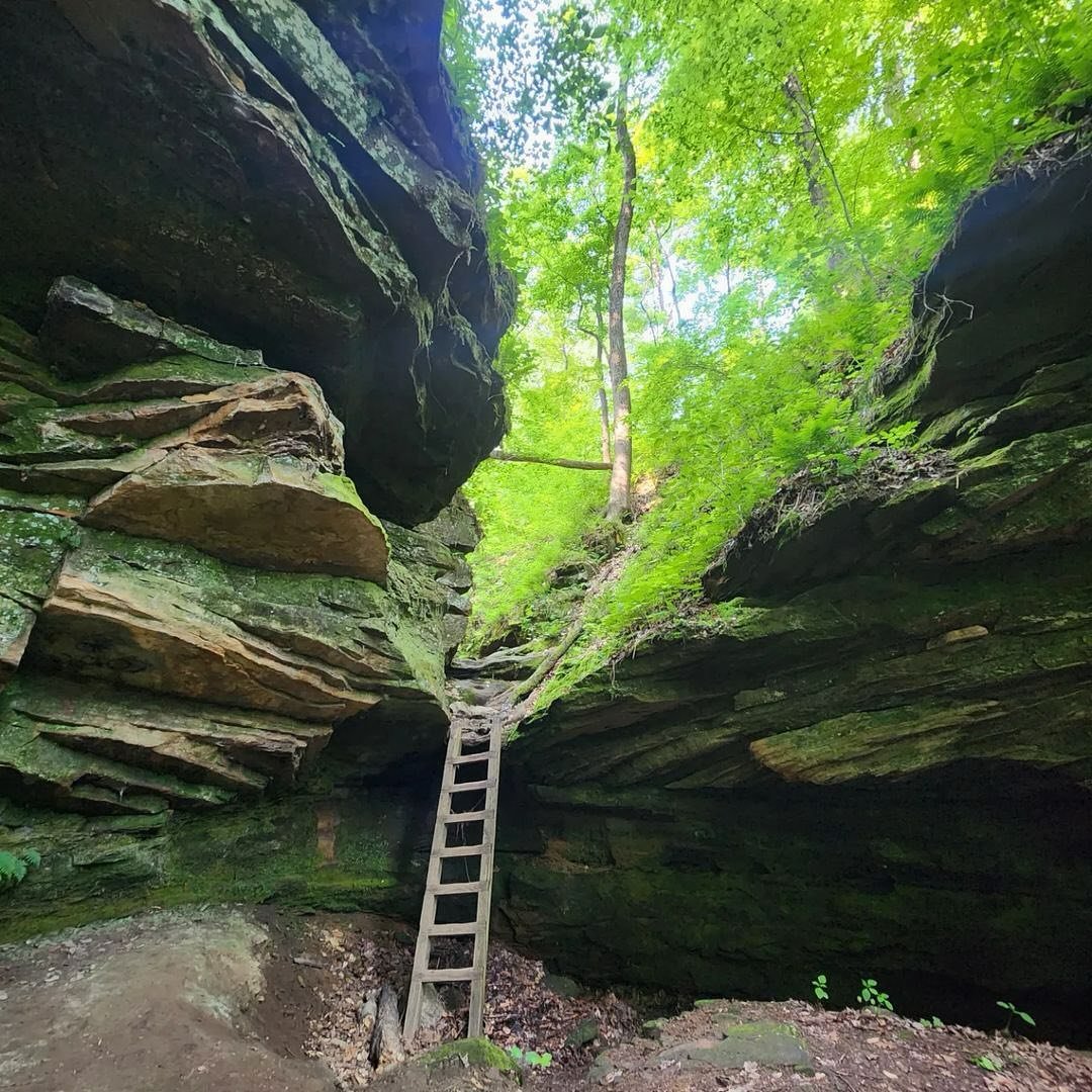 Have you visited Shades State Park in Parke County, Indiana?! 🌿 This beautiful state park offers a backdrop of shady ravines and sandstone cliffs overlooking Sugar Creek.