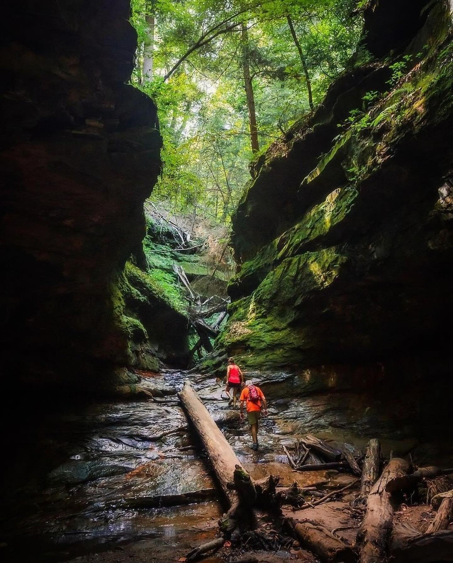 Discover Parke County&rsquo;s THREE State Parks! 🌿 FREE ADMISSION to all Indiana State Parks this Sunday, May 19th. 🎉

Explore Turkey Run&rsquo;s rugged canyons and scenic trails, Shades&rsquo; serene landscapes and waterfalls, and Raccoon Lake&rsq
