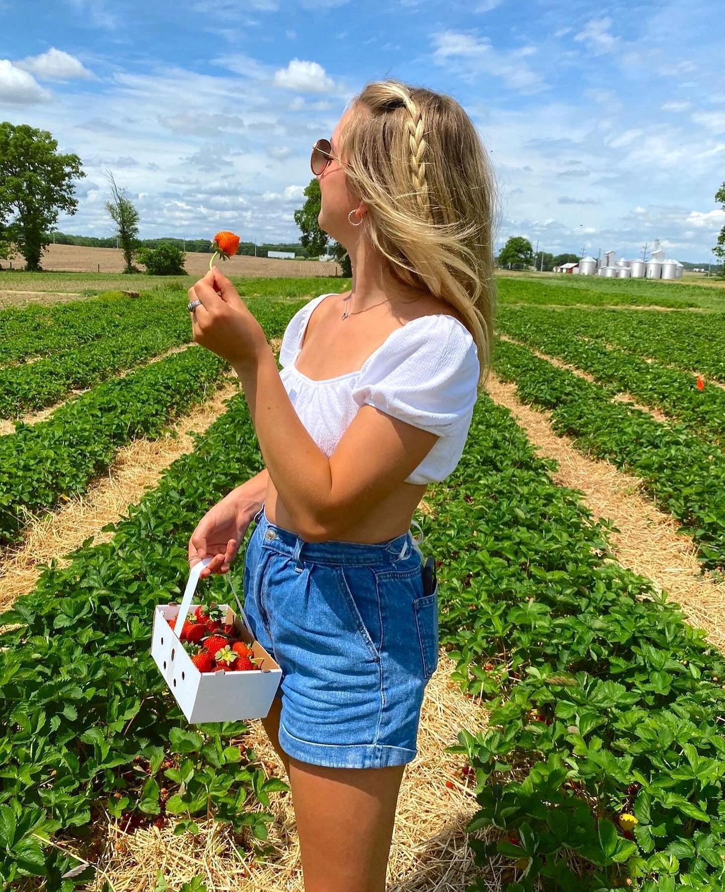 It&rsquo;s National Pick Strawberries Day! 🍓 Parke County is home to Ditzler Orchard, a family-friendly farm experience where you can buy/pick your own strawberries, apples, cherries, peaches &amp; more! ❤ 

Location: 8902 S 625 W, Rosedale, IN 4787