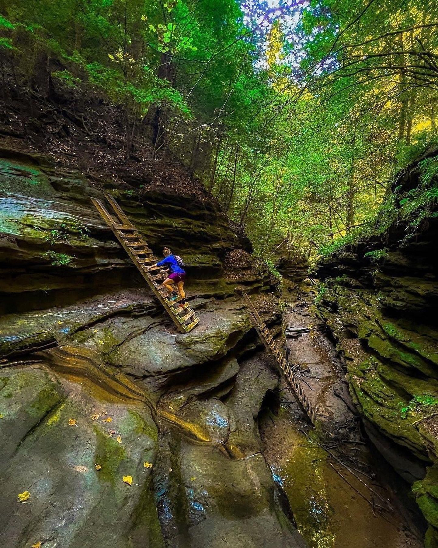 Discover the &ldquo;Midwest&rsquo;s Best Hike&rdquo; right here in Parke County, Indiana! 🌿 

Last year, Turkey Run State Park&rsquo;s Trail 3 was named the Midwest&rsquo;s Best Hike in Midwest Living&rsquo;s annual Best of the Midwest list. The 1.7