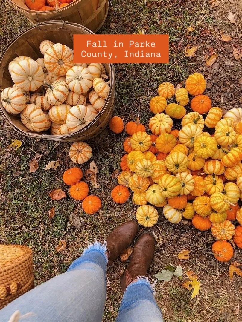 October is a beautiful time of year to visit Parke County, Indiana! Come see our colorful fall foliage. 🧡🍁