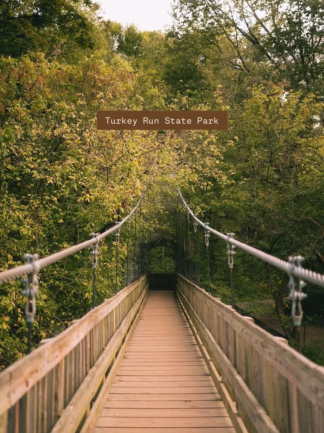 Recent photos from Turkey Run State Park 🍁📸 Plan your visit at www.coveredbridges.com