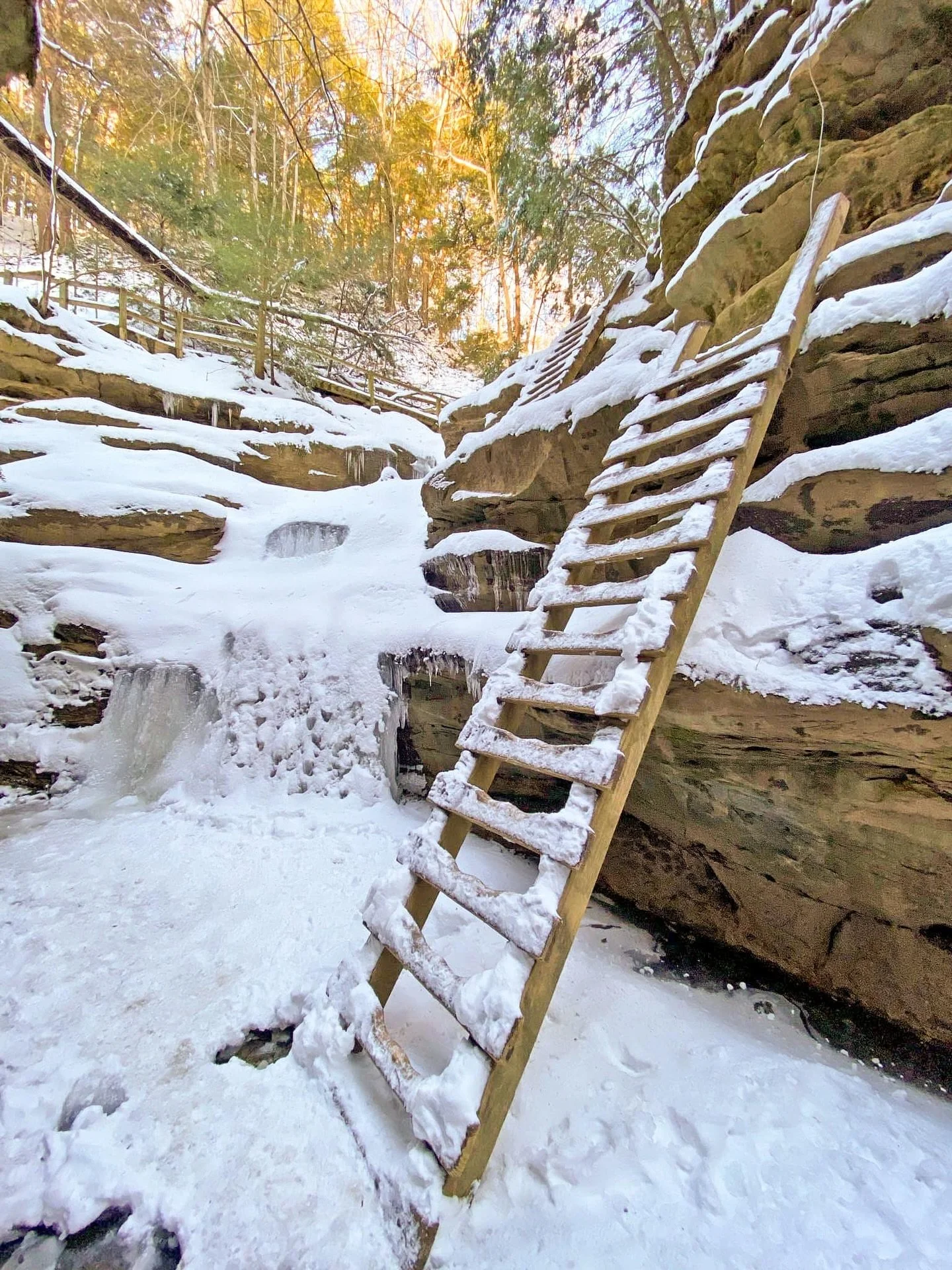 Happy National Take a Hike Day! ❄️🥾 Start planning your winter getaway to Parke County, Indiana! Explore sandstone ravines, aged forests, and scenic views at Turkey Run and Shades State Parks.
