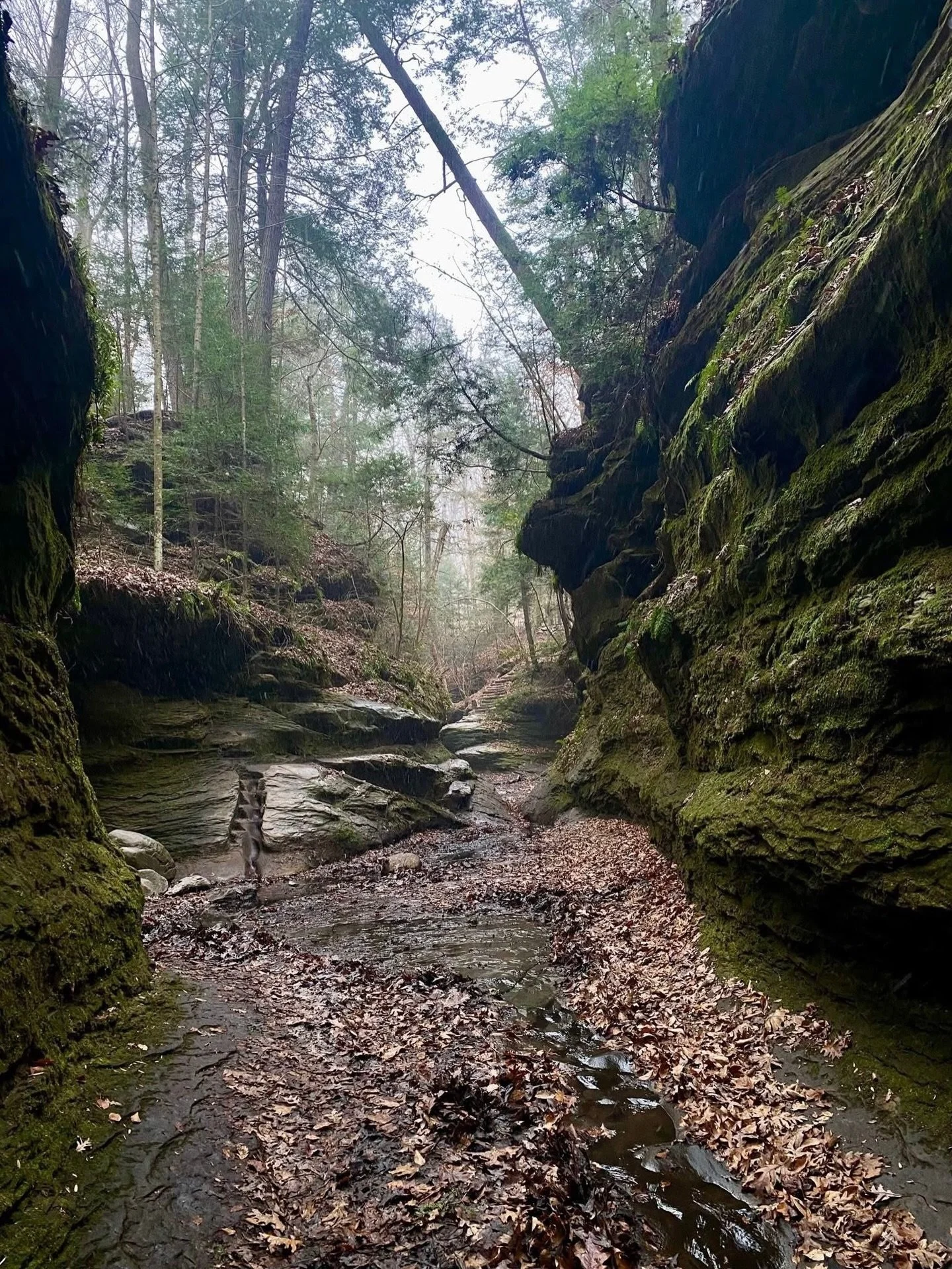Enjoy Turkey Run Inn&rsquo;s Winter 2-for-1 Special! ❄️ Stay any night Sunday through Wednesday from November 30, 2025, to February 26, 2026, and get your second consecutive night FREE. Explore snowy trails and unwind in cozy Parke County.

Blackout 